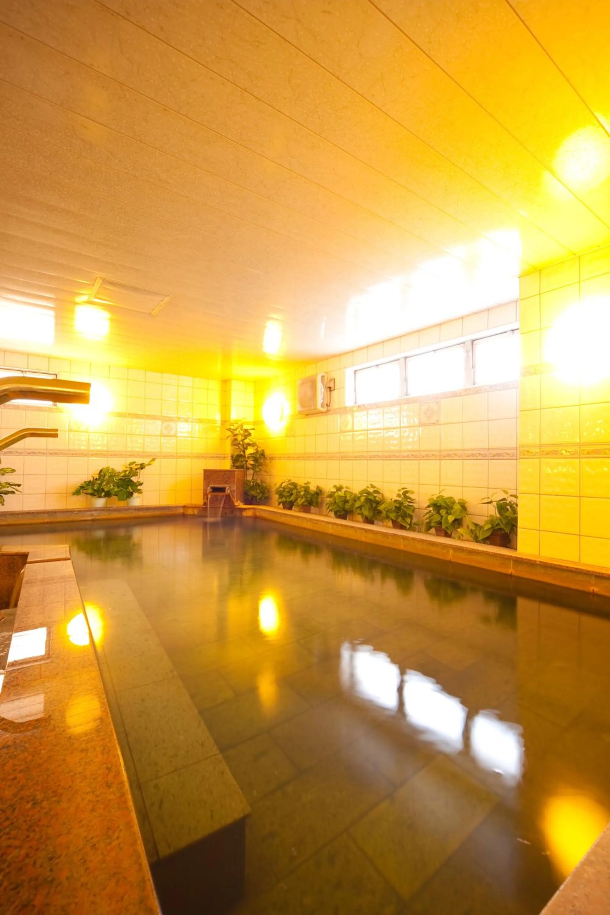 Hot Spring Bath in Beppu Station Hotel