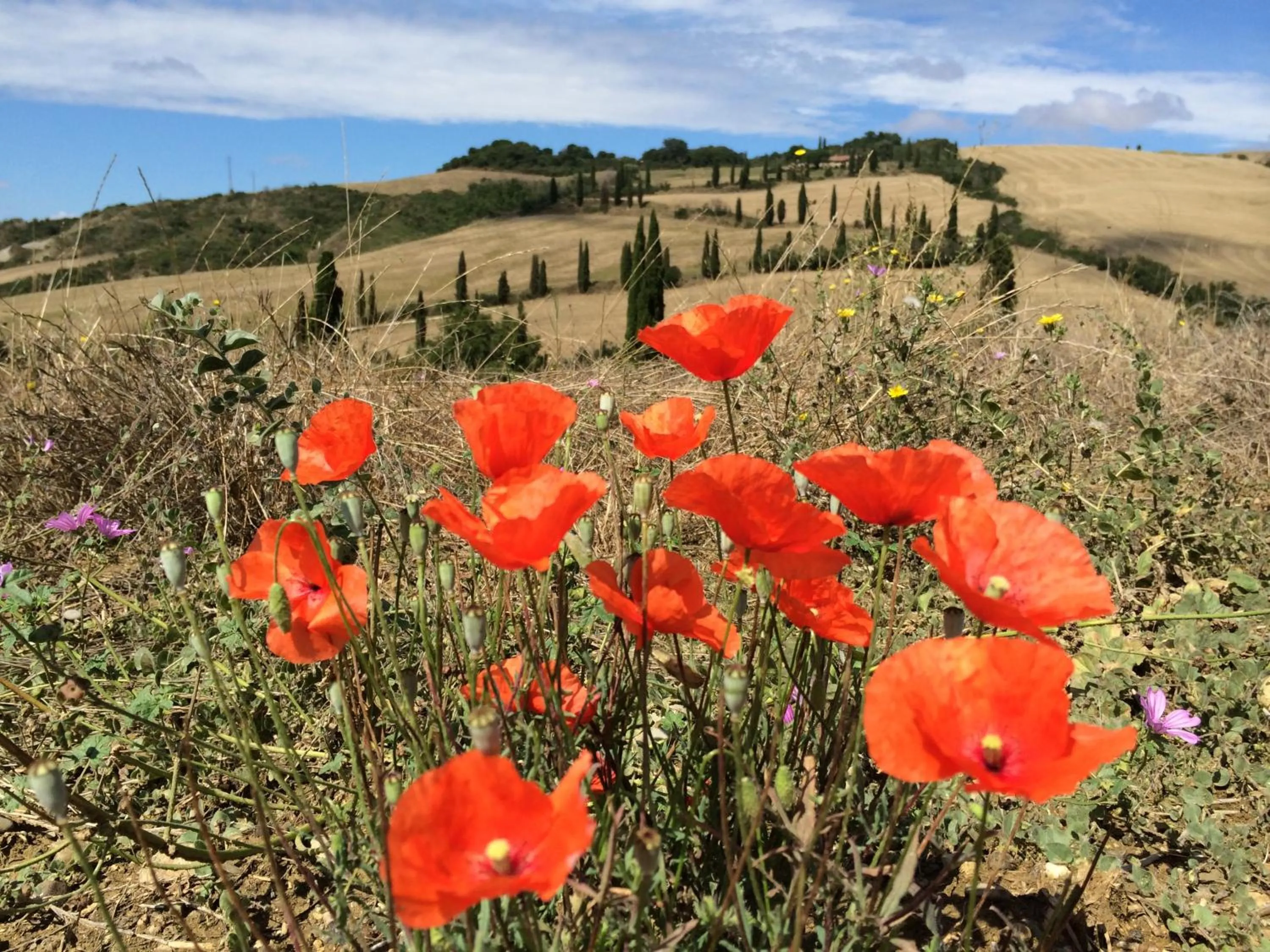 Spring in Hotel Del Buono Wellness & Medical Spa