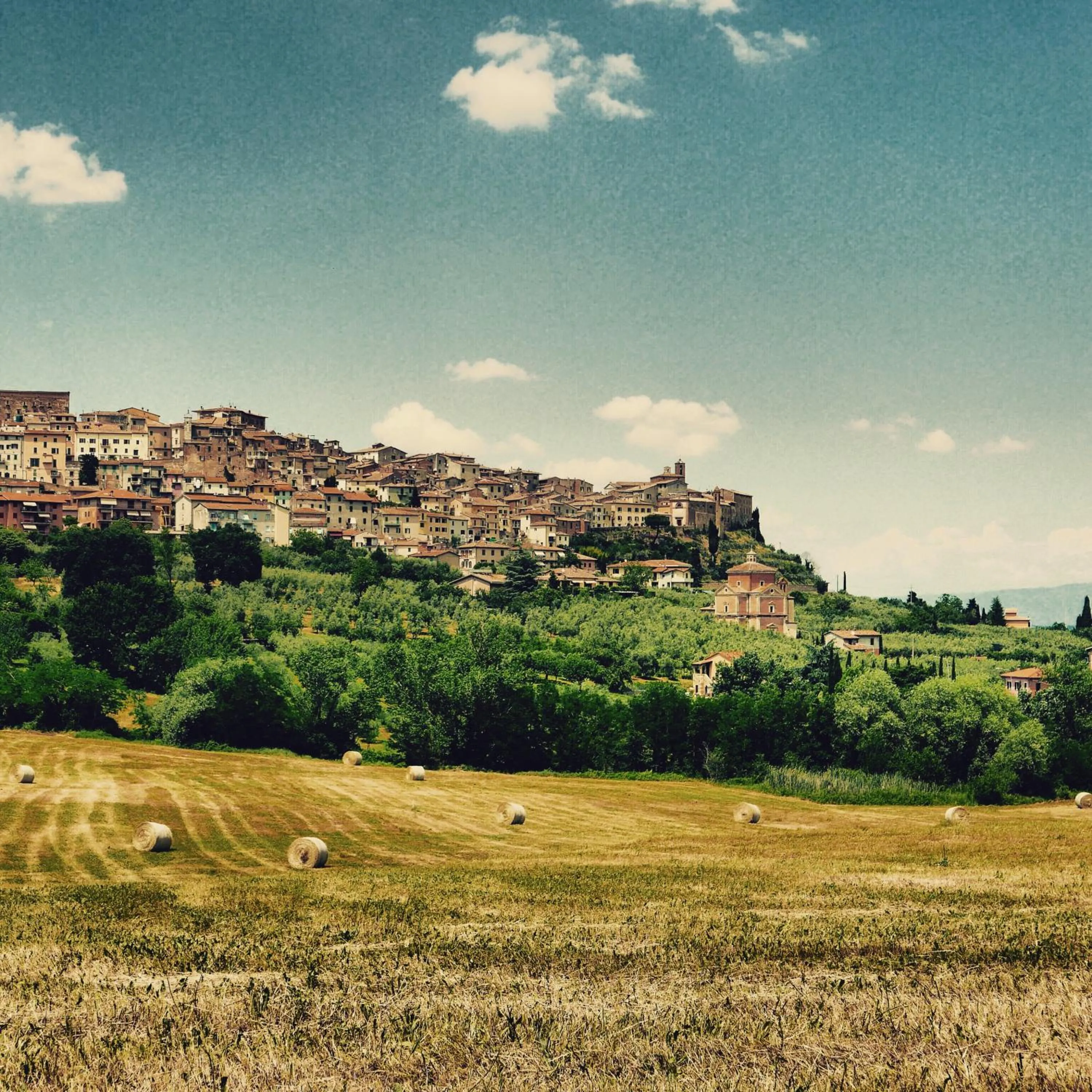 Nearby landmark in Hotel Del Buono Wellness & Medical Spa