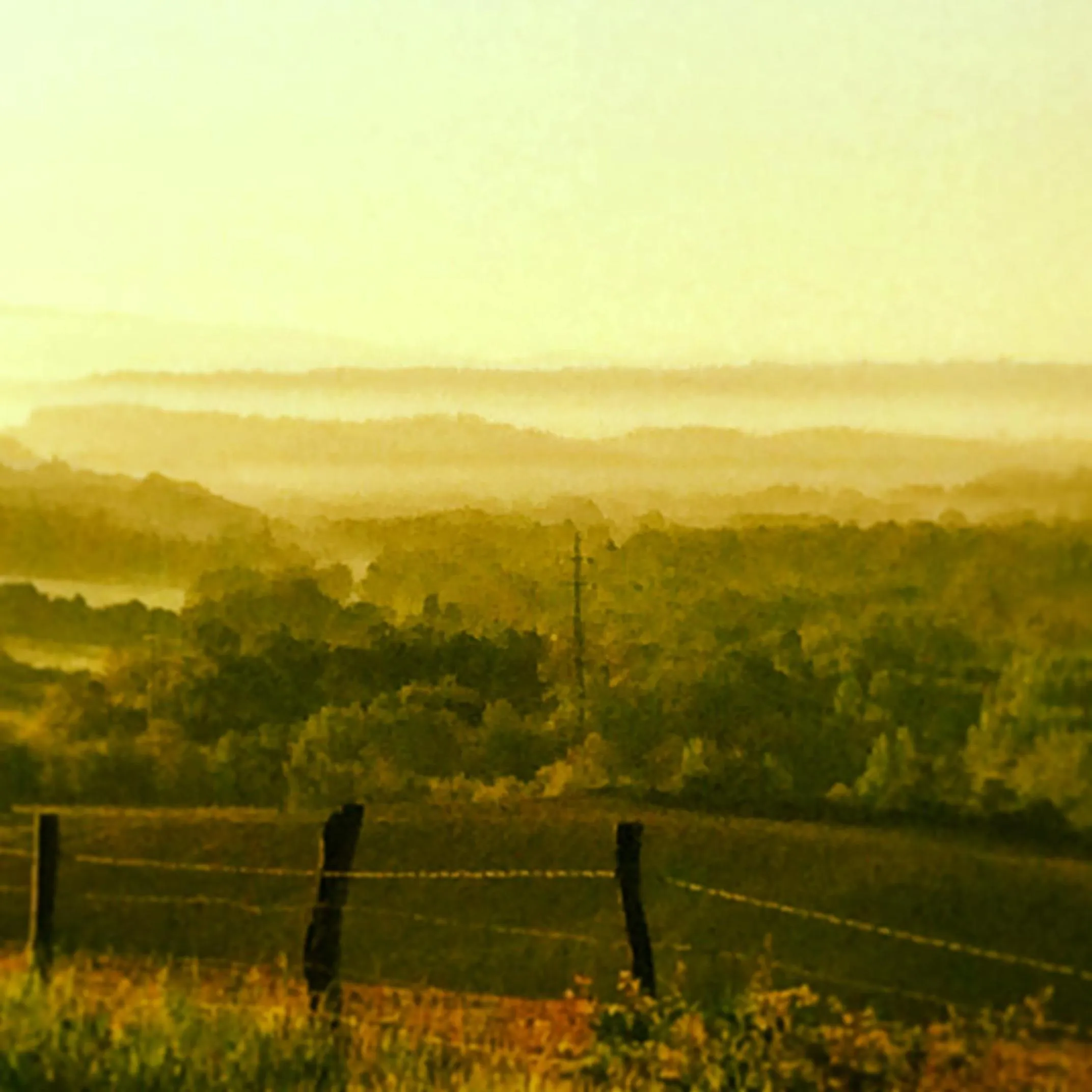 Natural landscape in Hotel Del Buono Wellness & Medical Spa