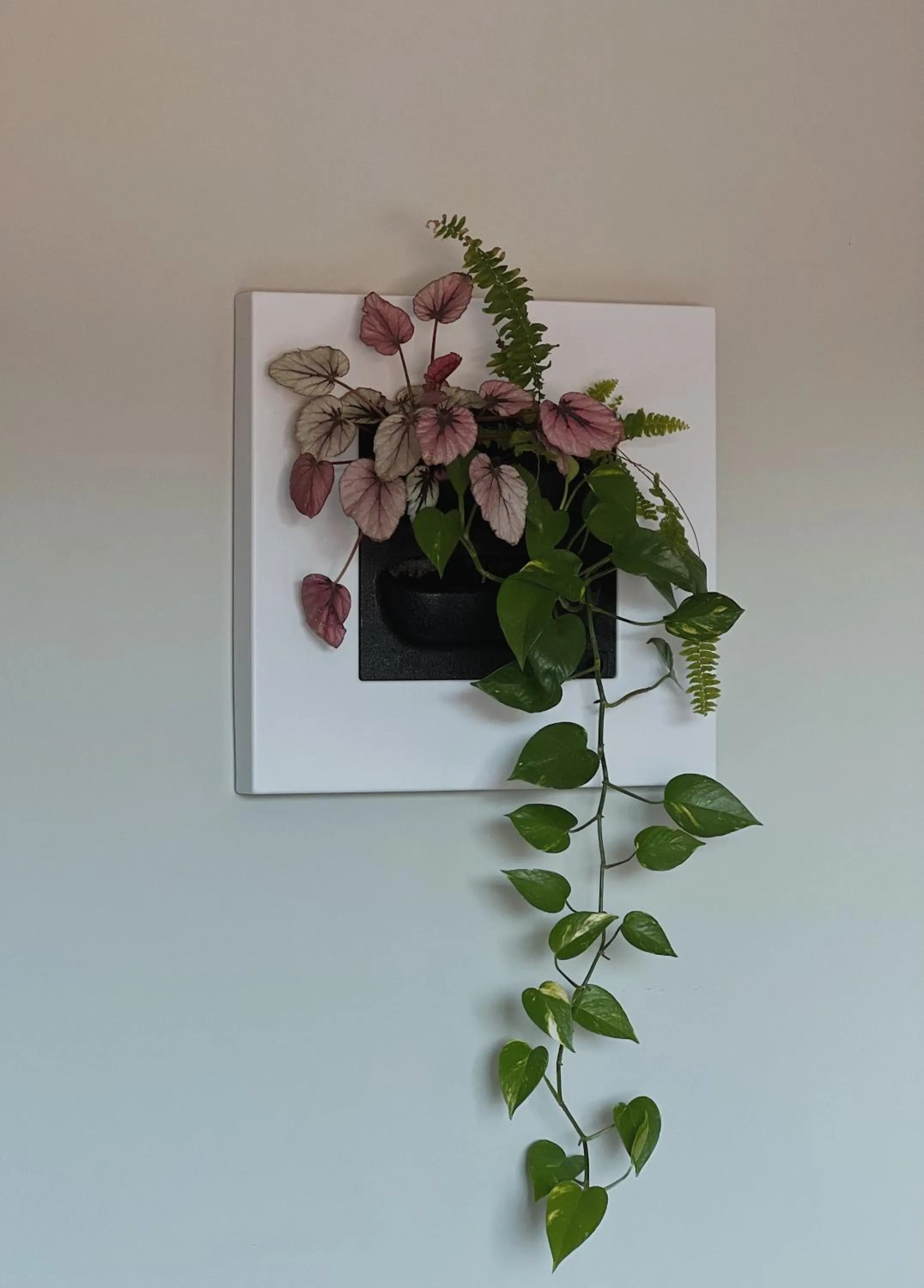 Decorative detail in Luna House & Cowork