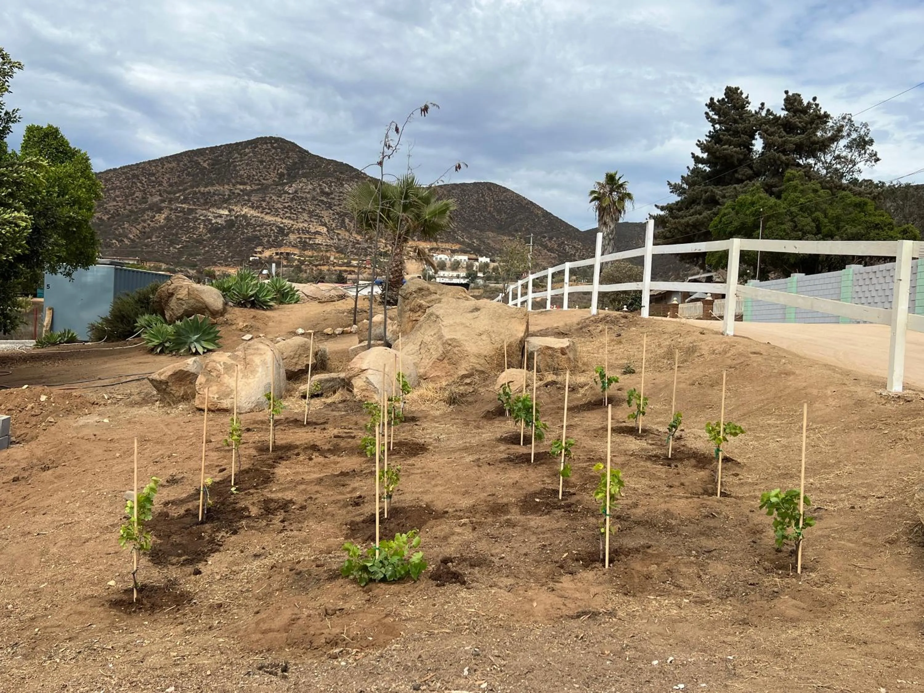 Natural landscape in Ecovino Valle de Guadalupe