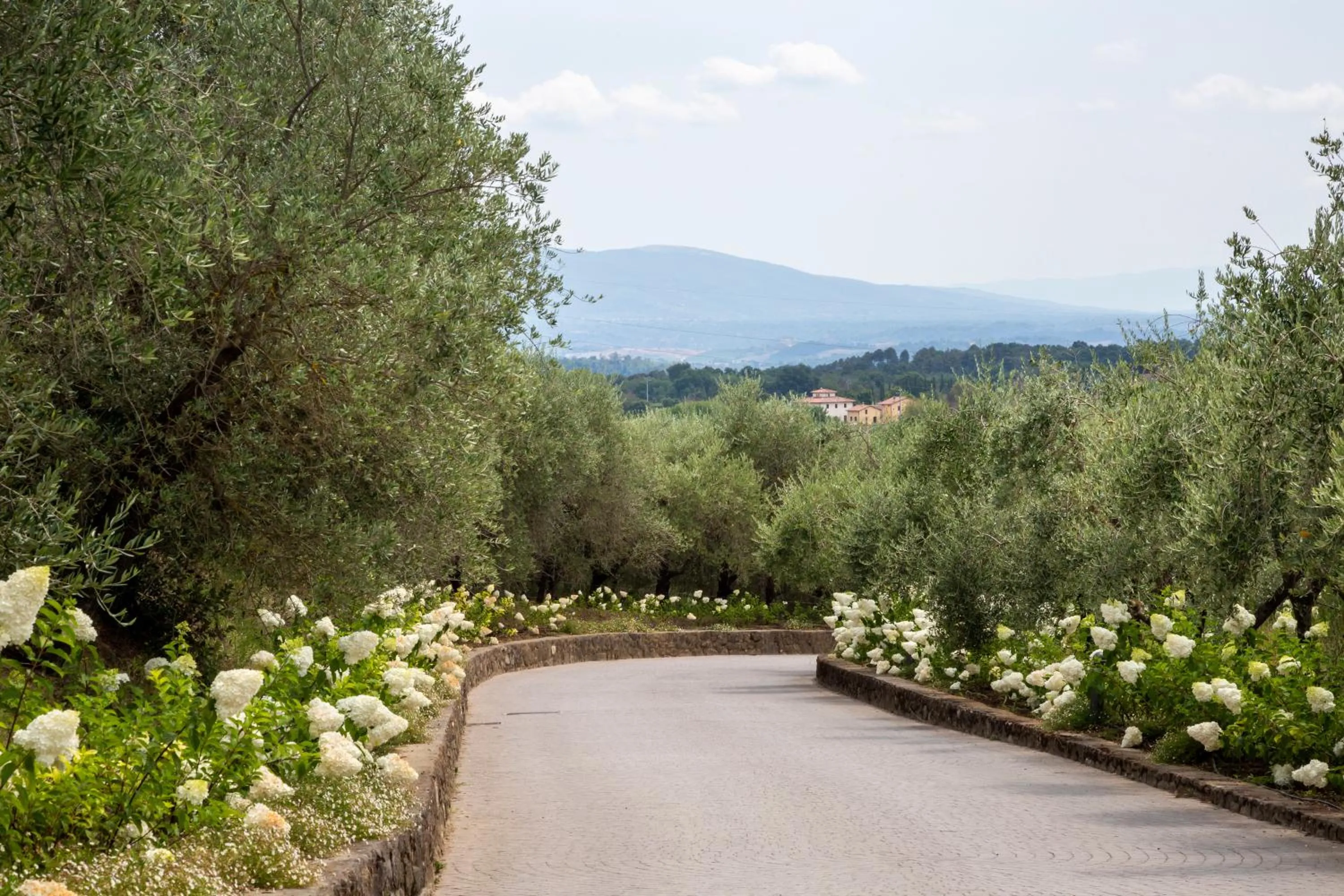 Street view in Palagina la dimora