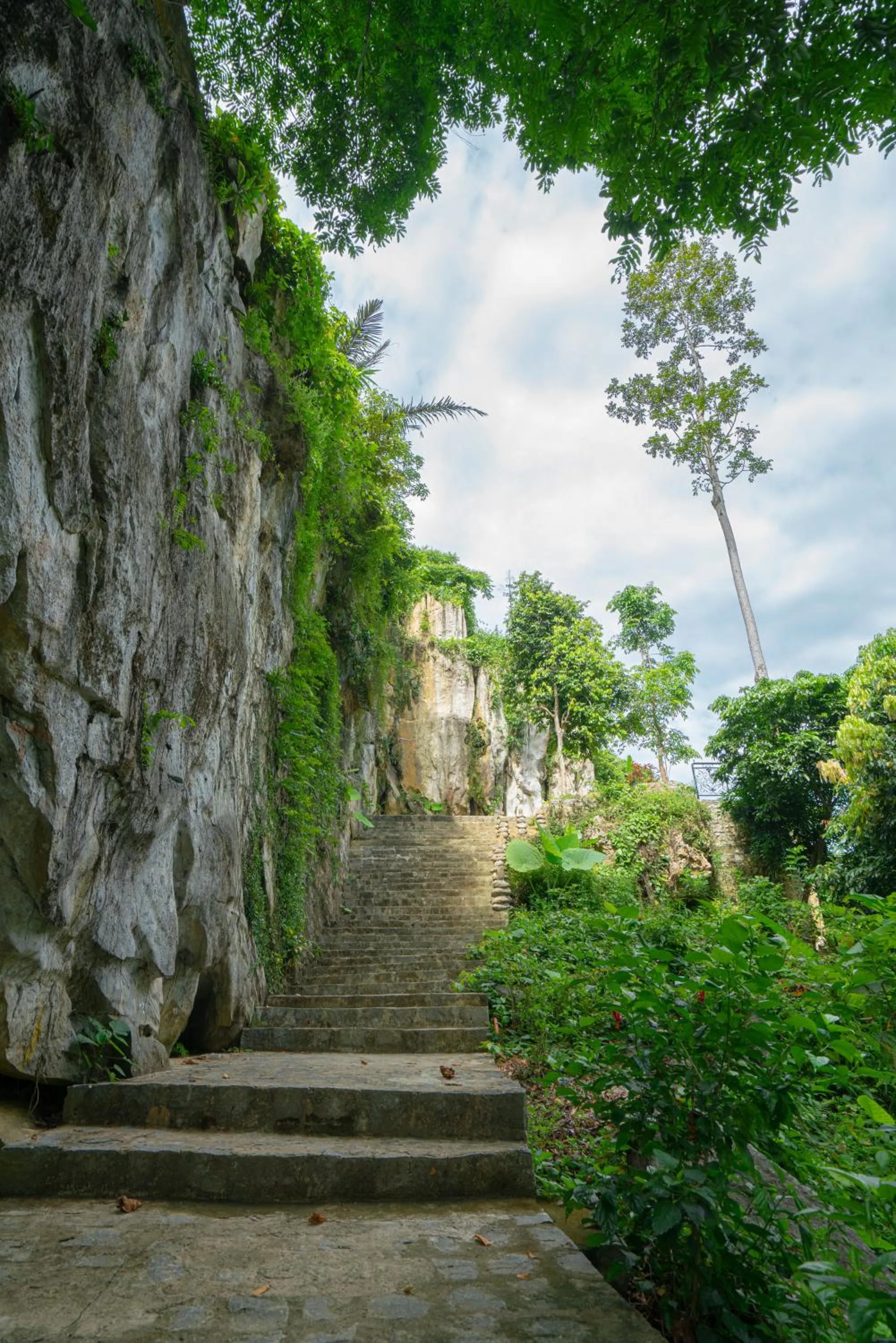 Natural landscape in Fivitel Cổng Trời Đông Giang - Fivitel Đông Giang Heaven's Gate