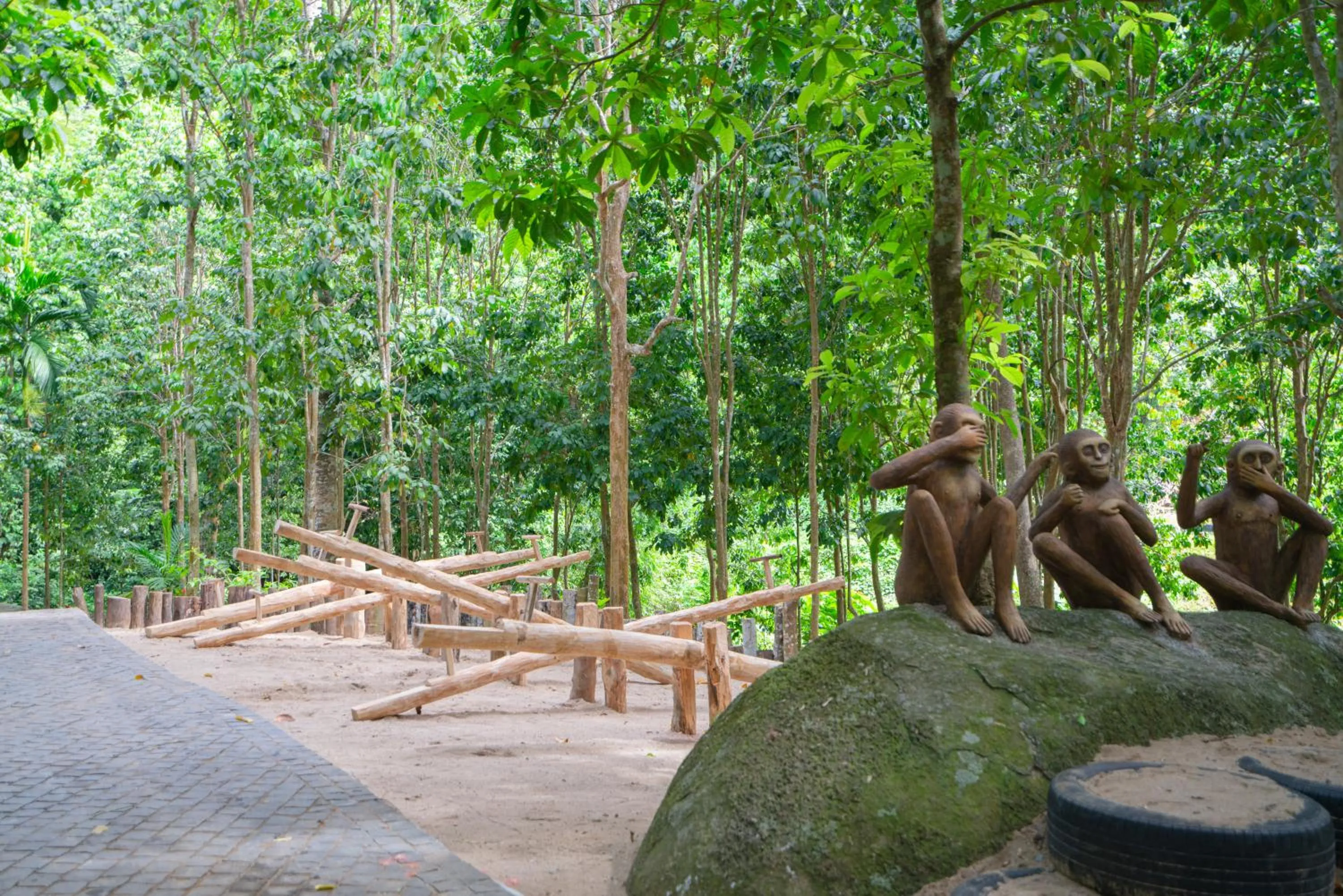 Natural landscape in Fivitel Cổng Trời Đông Giang - Fivitel Đông Giang Heaven's Gate