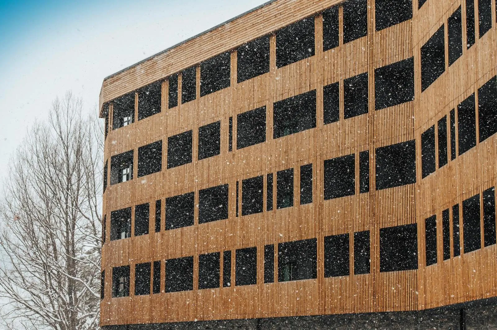 Property building in Dialog Kokhta