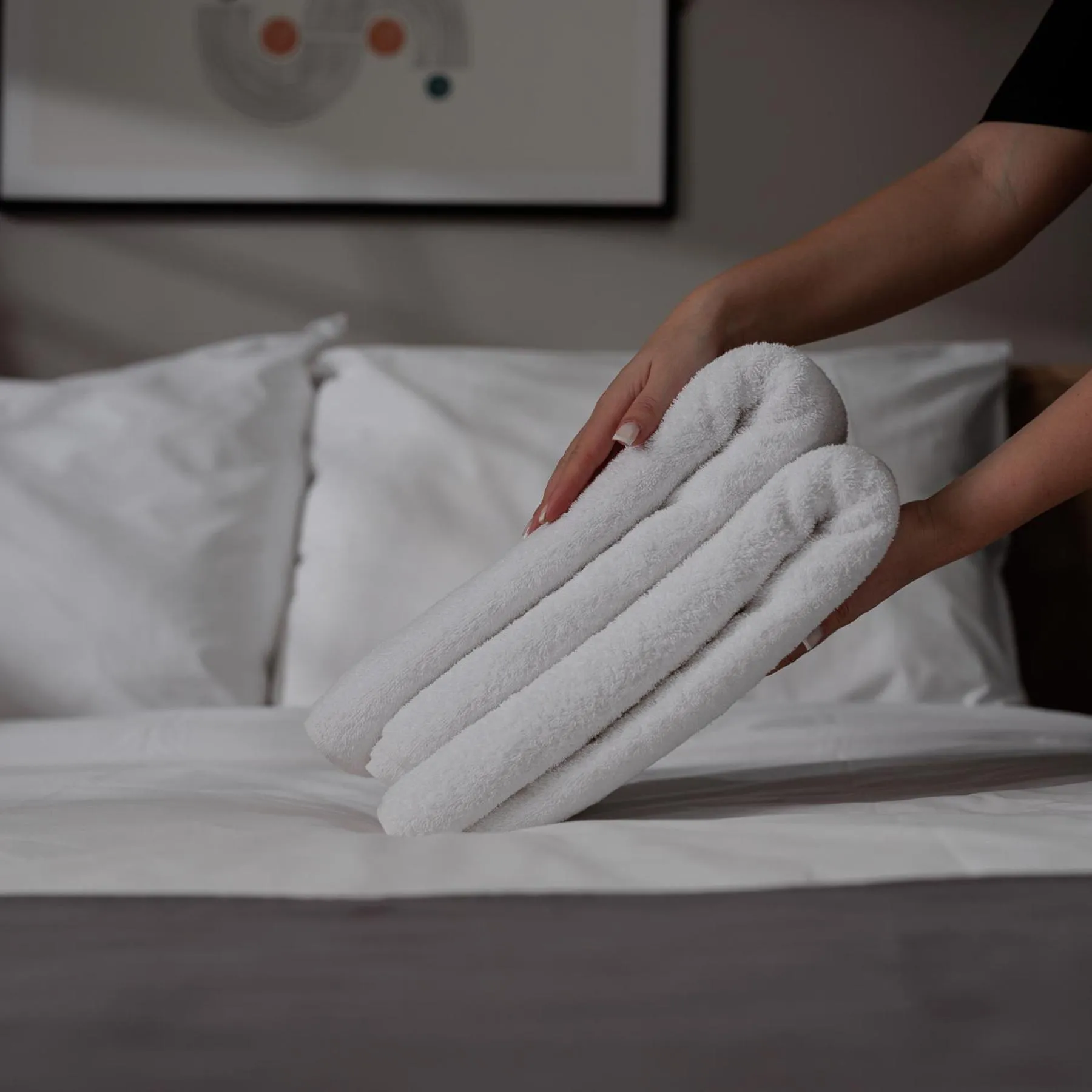 Bed in Dialog Kokhta