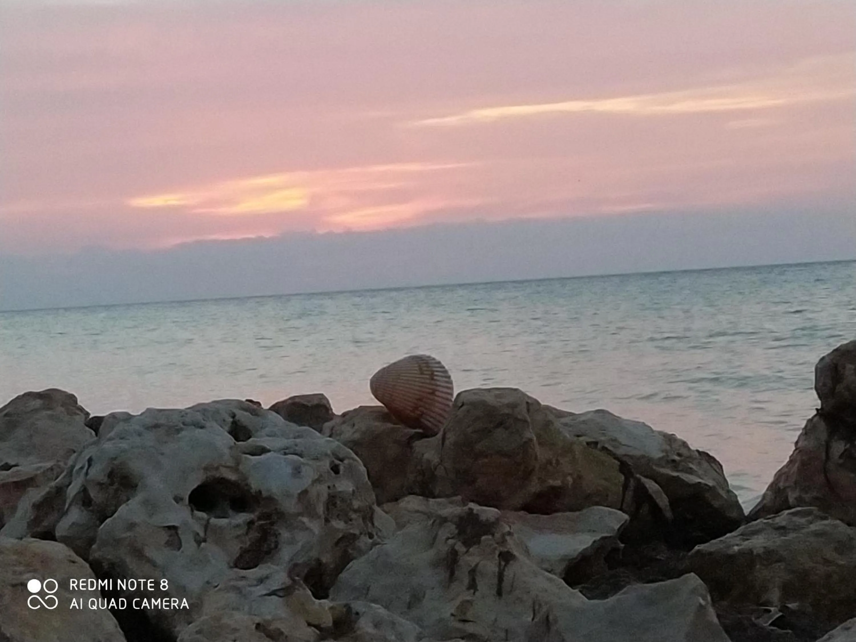 Activities in Casa aloha-Isla Holbox