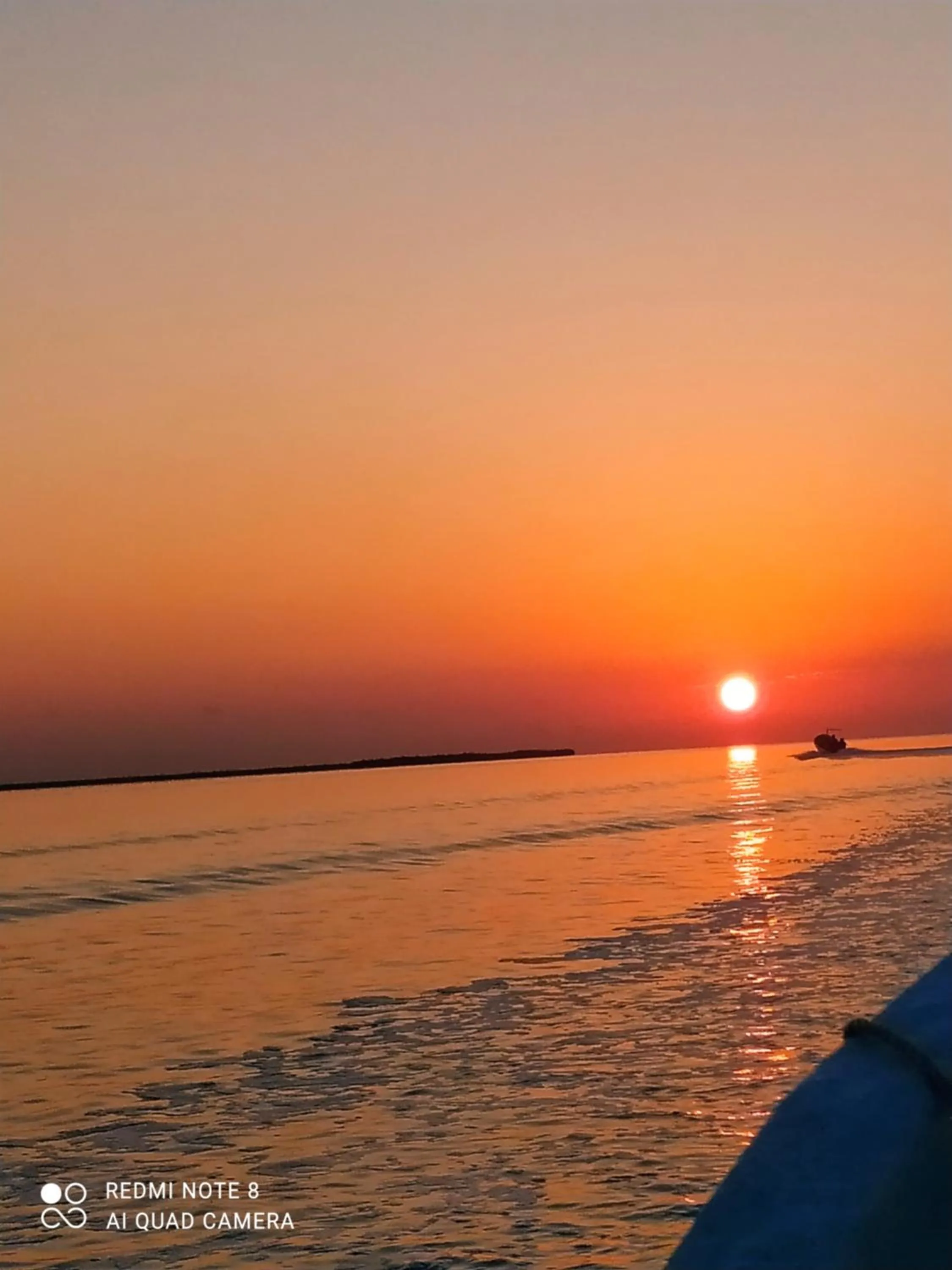 Activities in Casa aloha-Isla Holbox