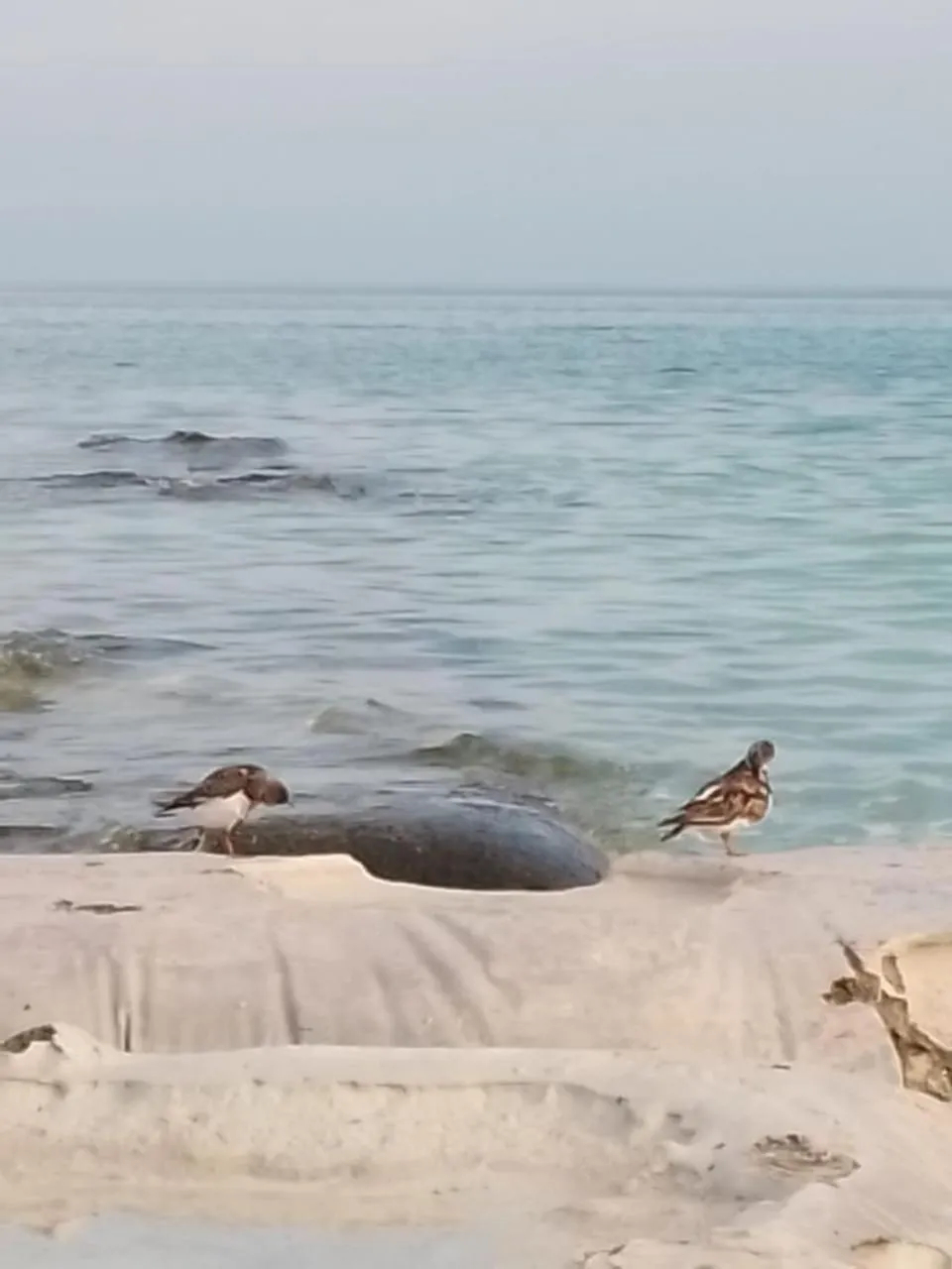 Activities in Casa aloha-Isla Holbox