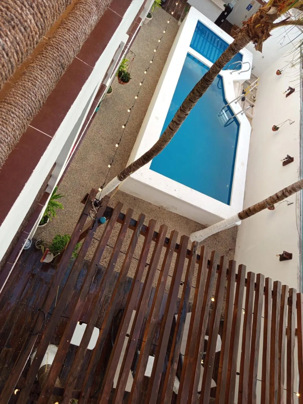 Pool view in Casa aloha-Isla Holbox