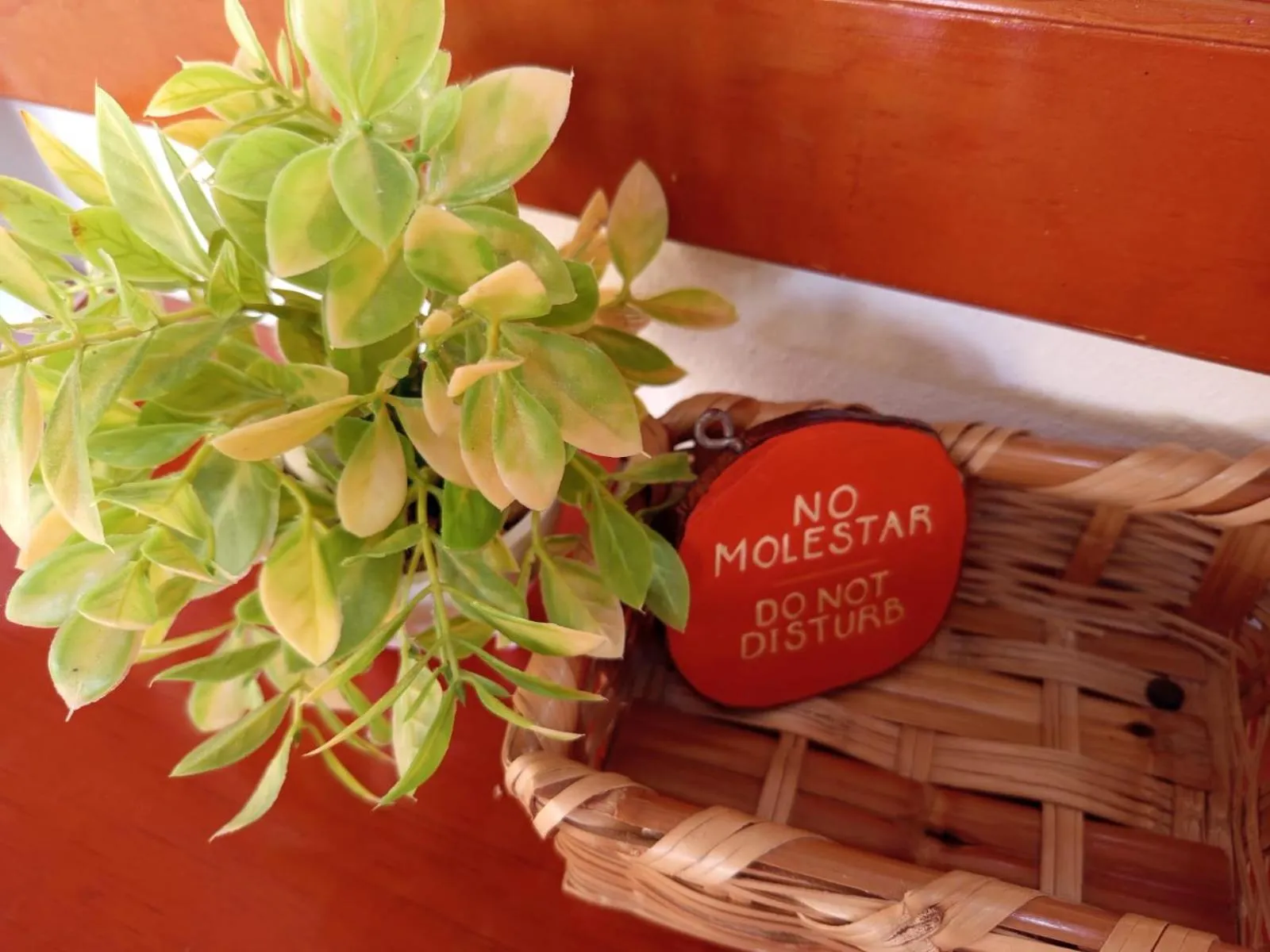 Text overlay in Casa aloha-Isla Holbox