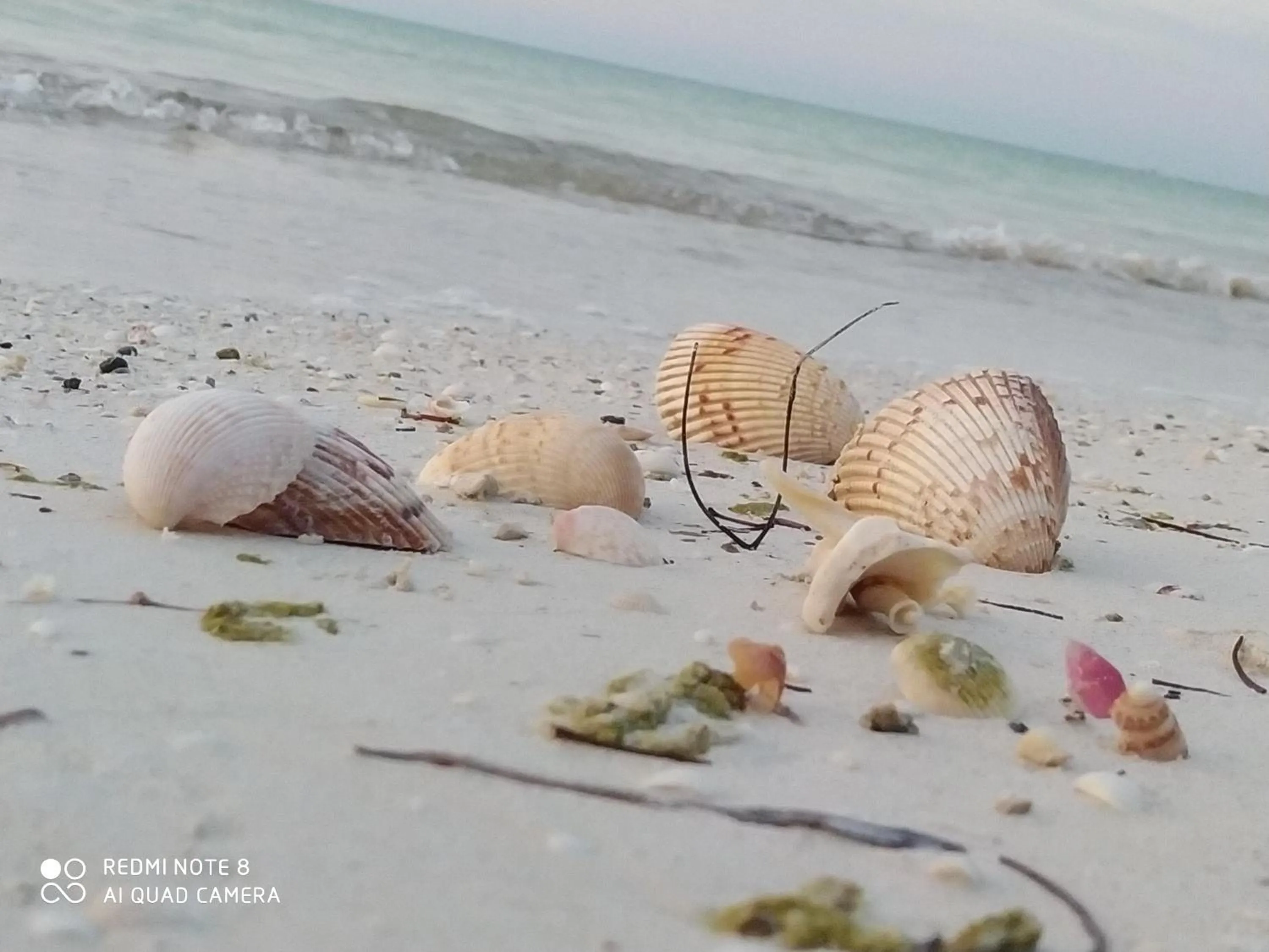 Nearby landmark in Casa aloha-Isla Holbox