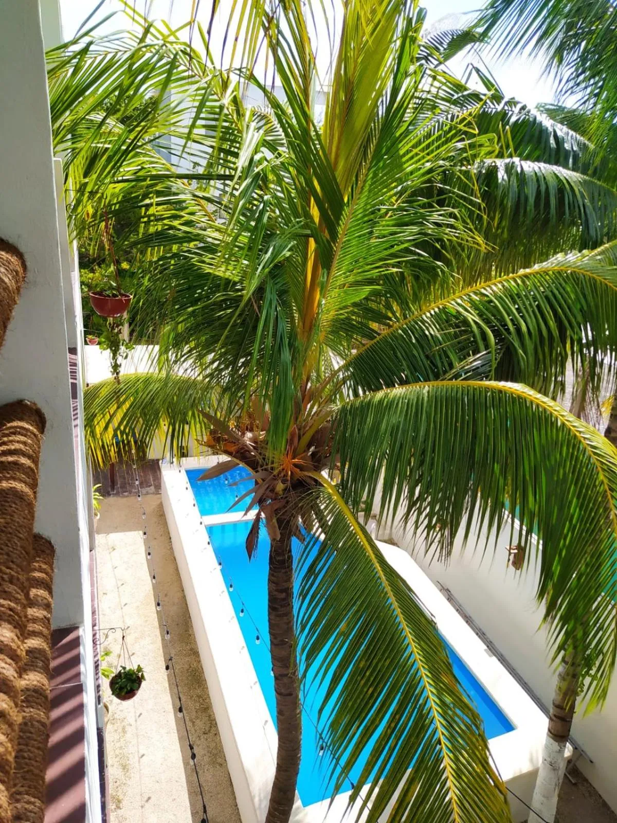 Swimming pool in Casa aloha-Isla Holbox