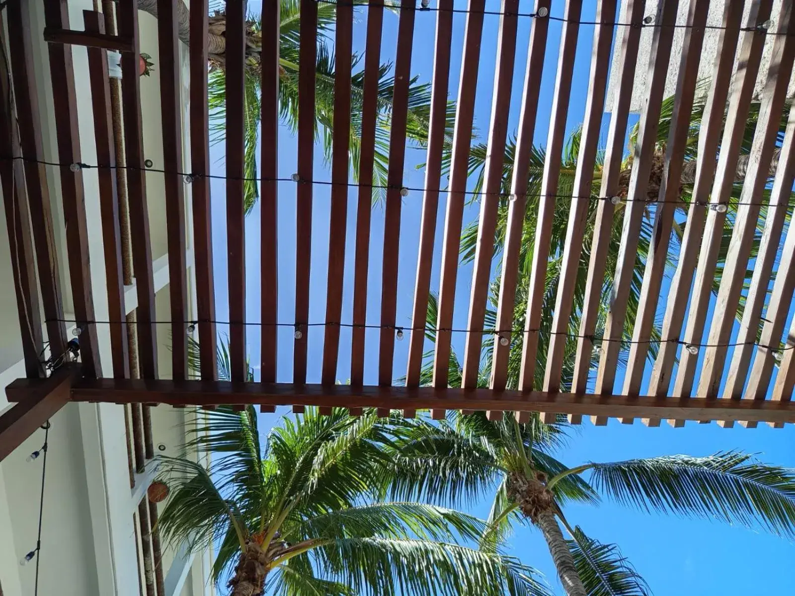 Two-Bedroom Apartment in Casa aloha-Isla Holbox Two-Bedroom Apartment in Casa aloha-Isla Holbox