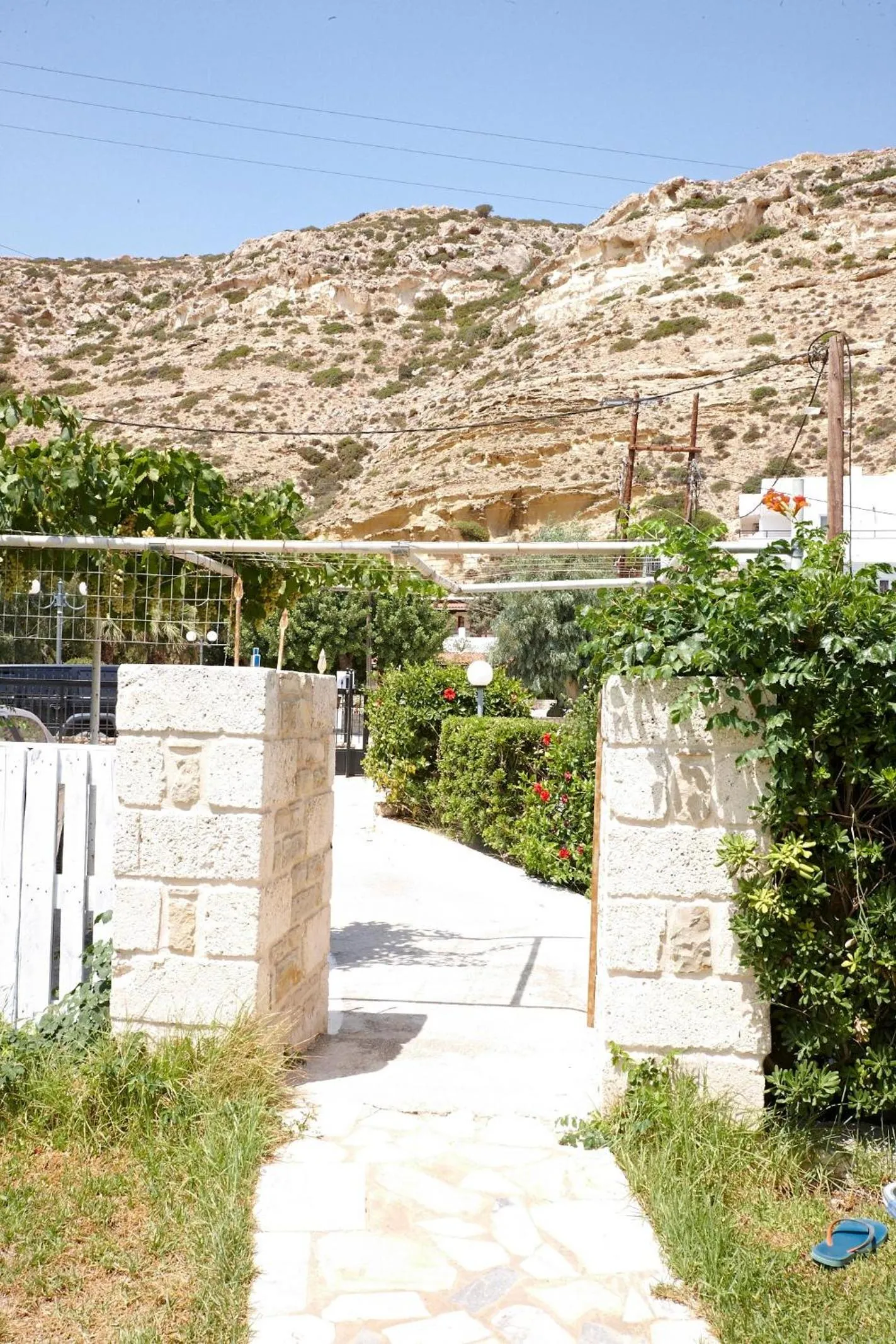 Garden in Elea Terra Hotel