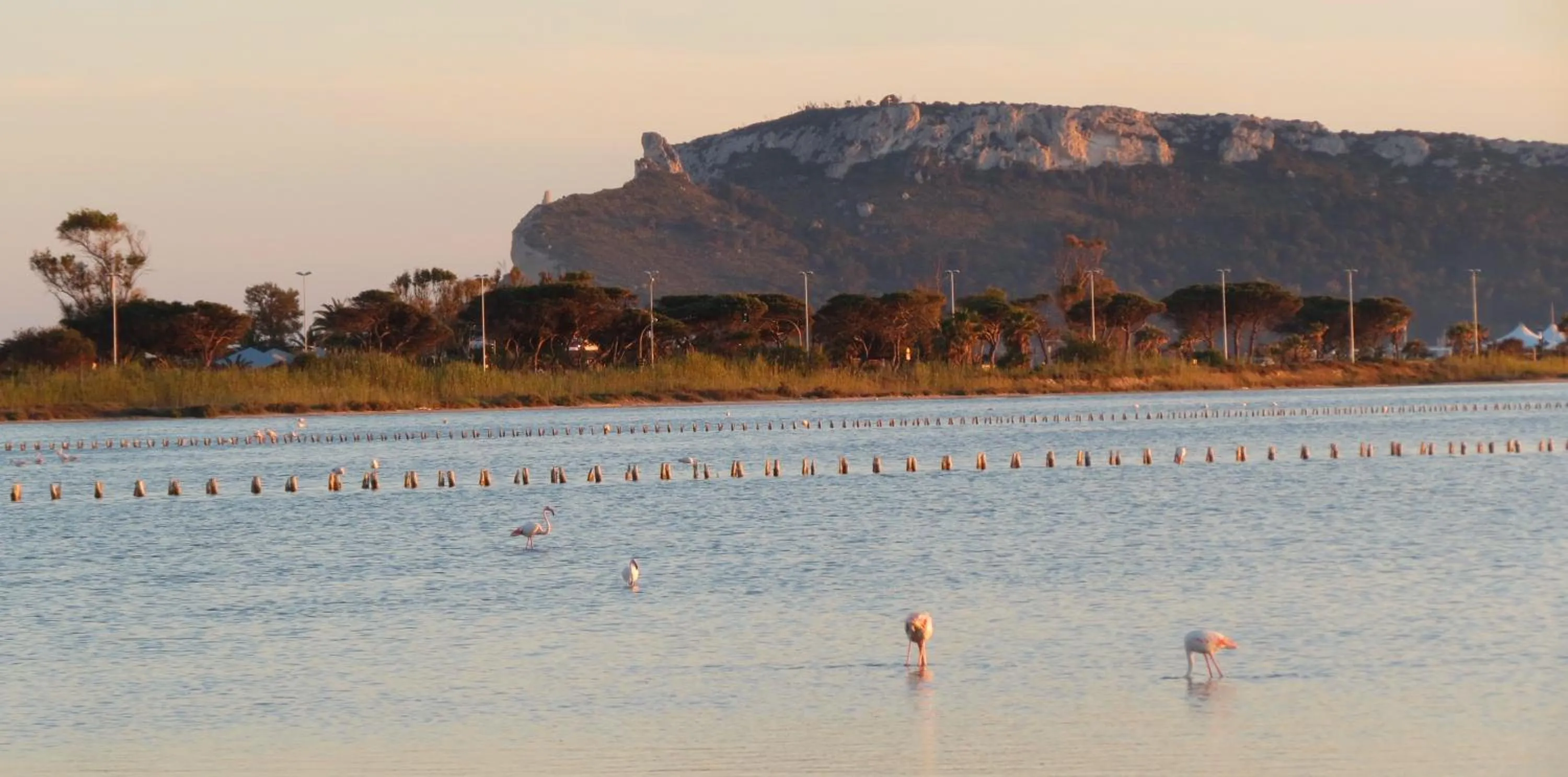 View (from property/room) in Best Western Hotel Residence Italia