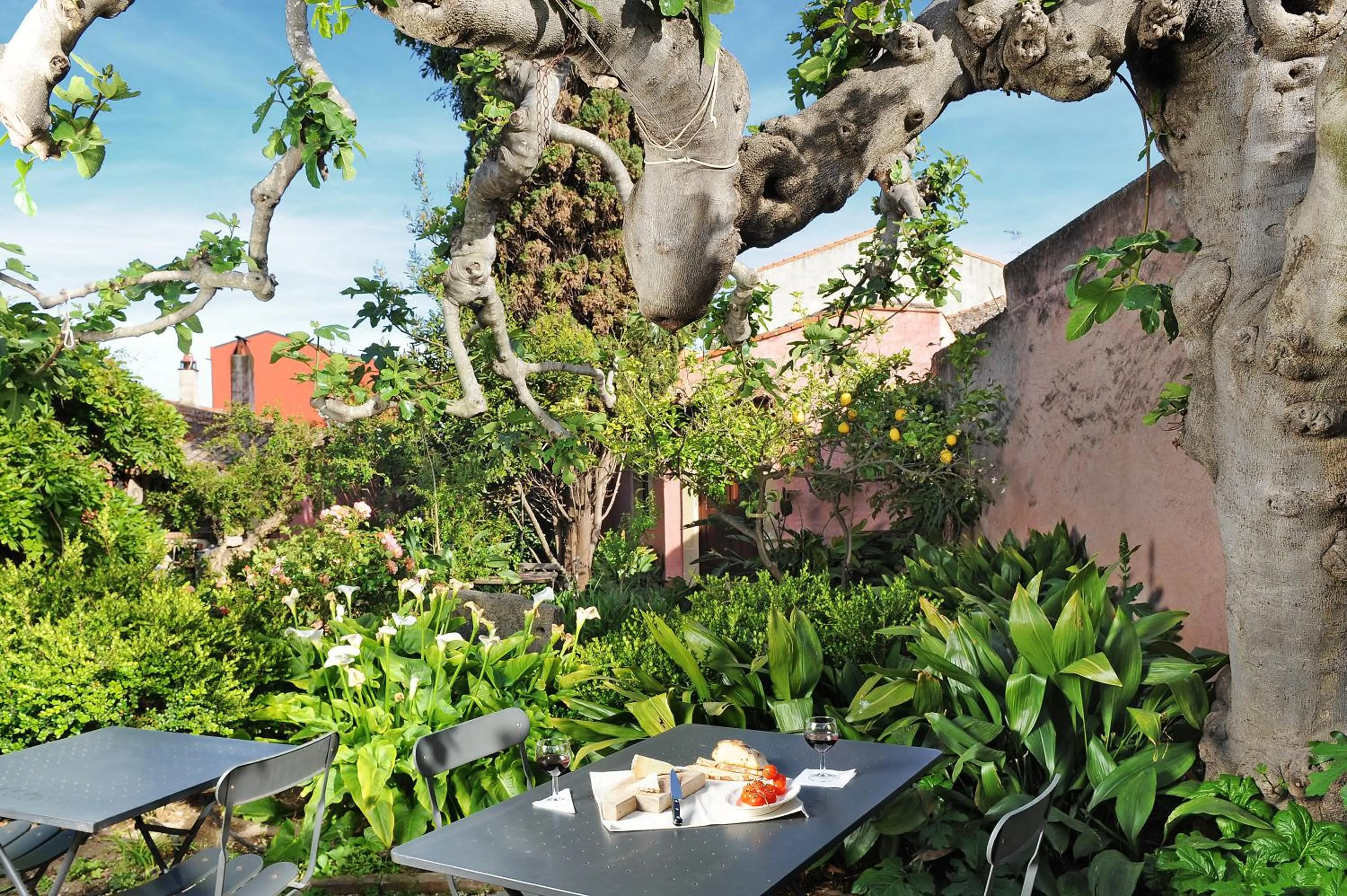 Garden in Hotel Lucrezia