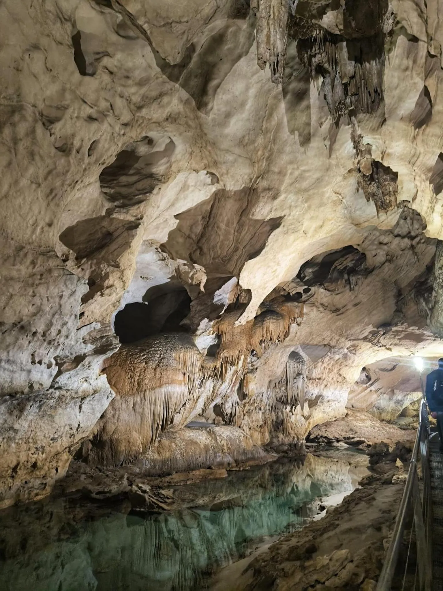 Natural landscape in Hotel San Francisco