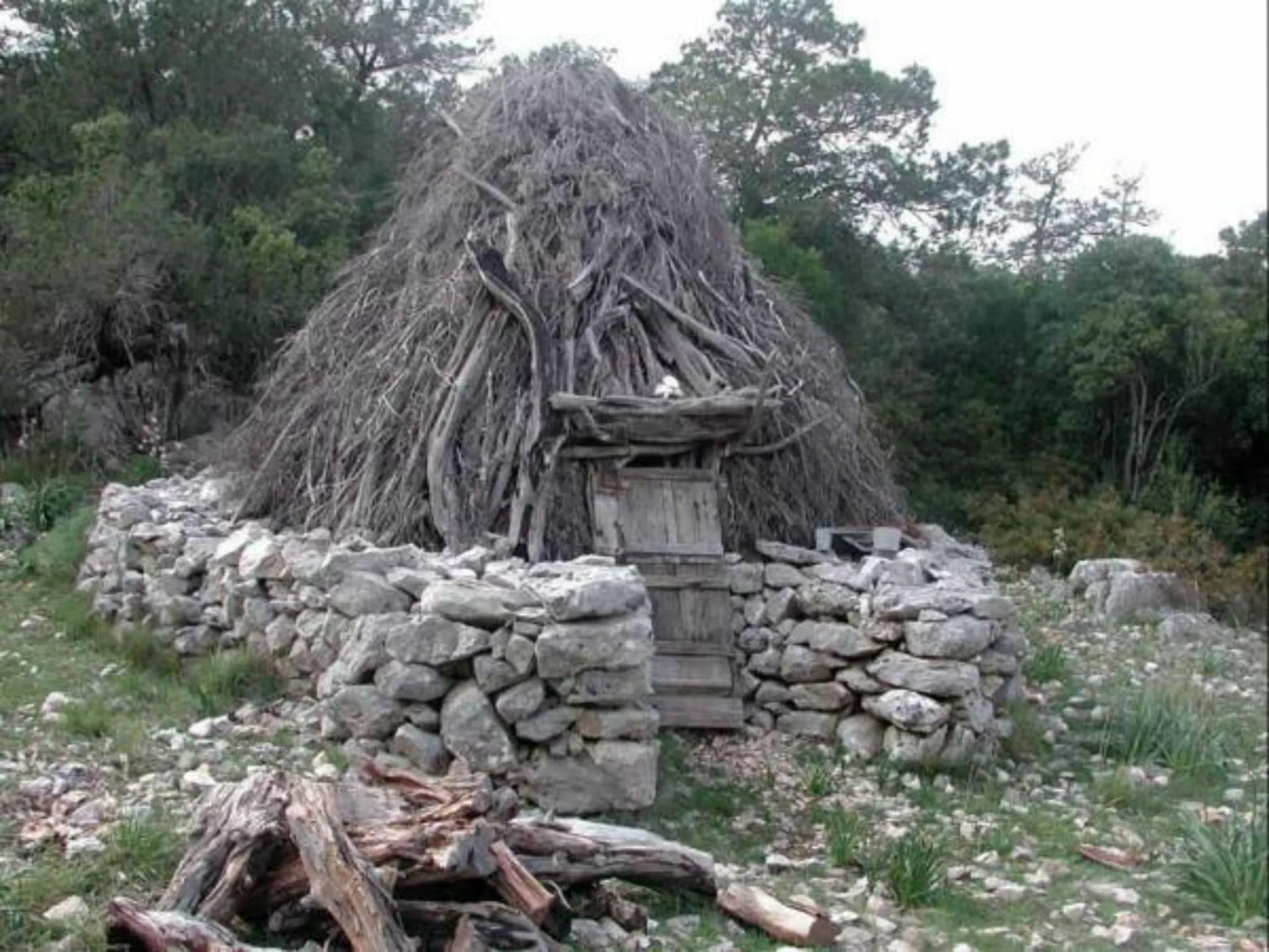 Off site in Hotel San Francisco