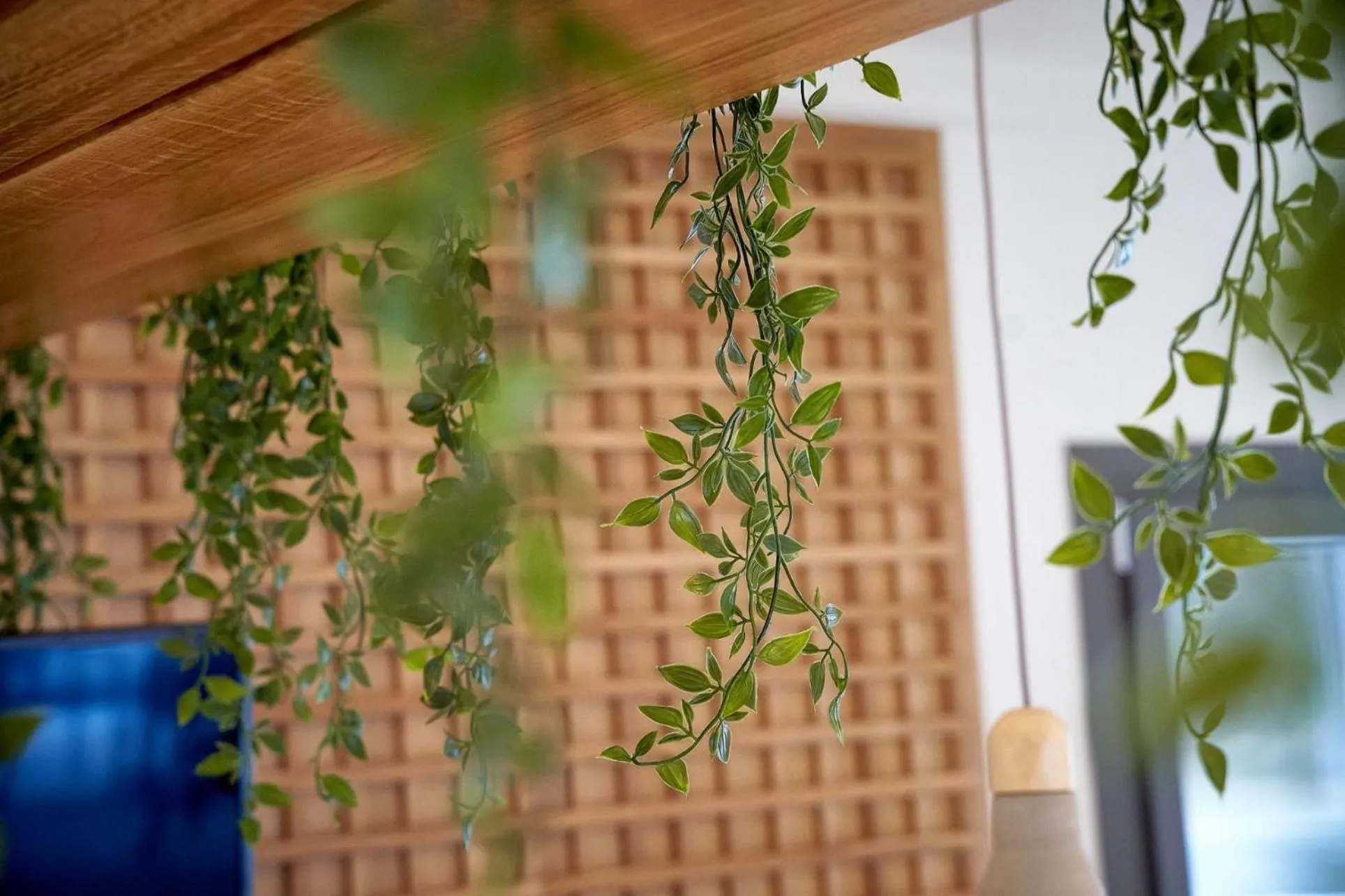 Decorative detail in Celine's Rose