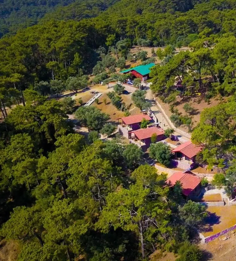 Garden in Çandır Resort Restaurant