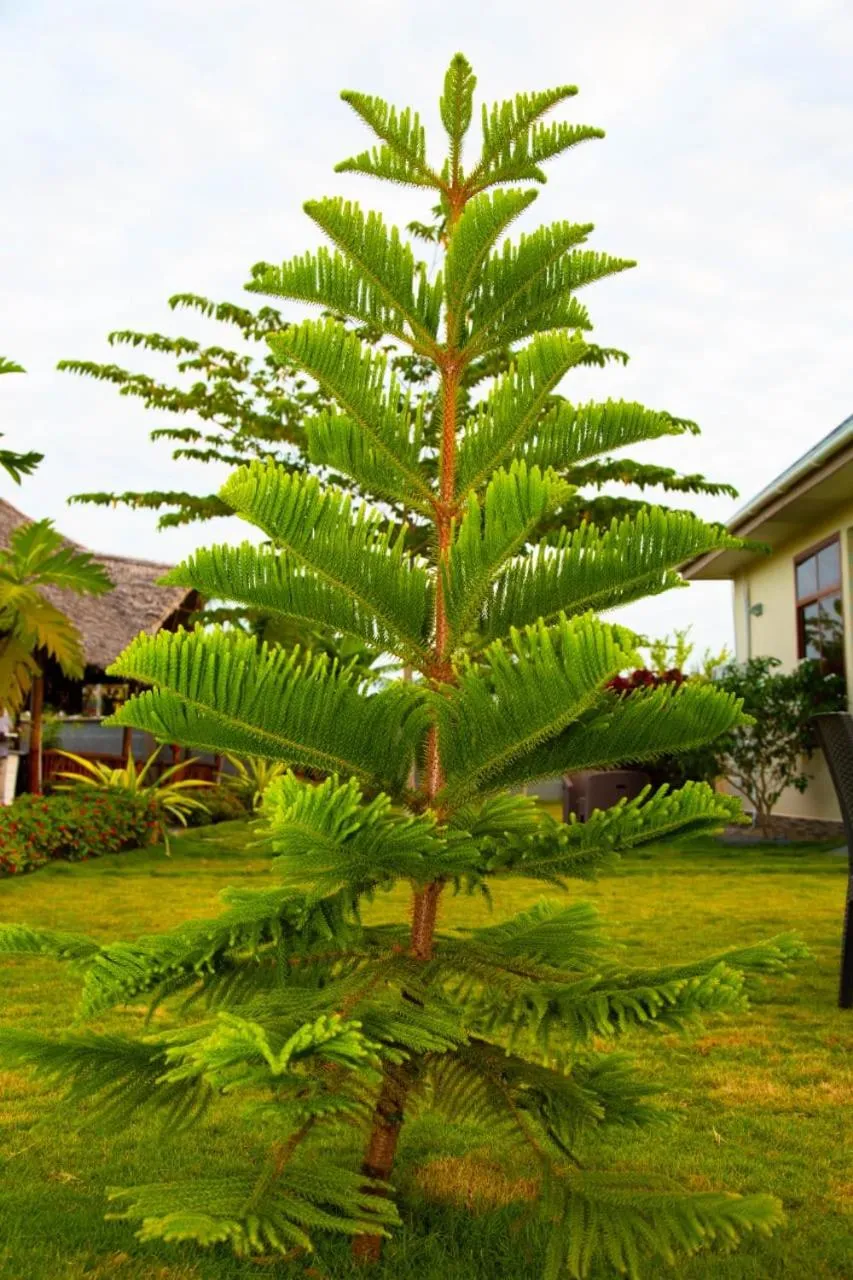 Day in Joleen Safari Park