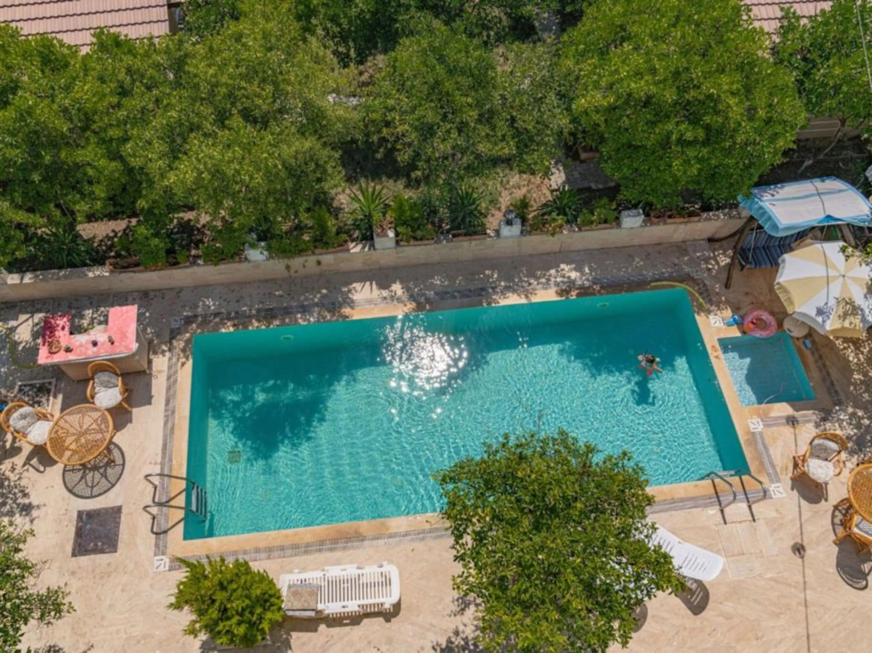 Day in Felicity Hotel & Bungalows