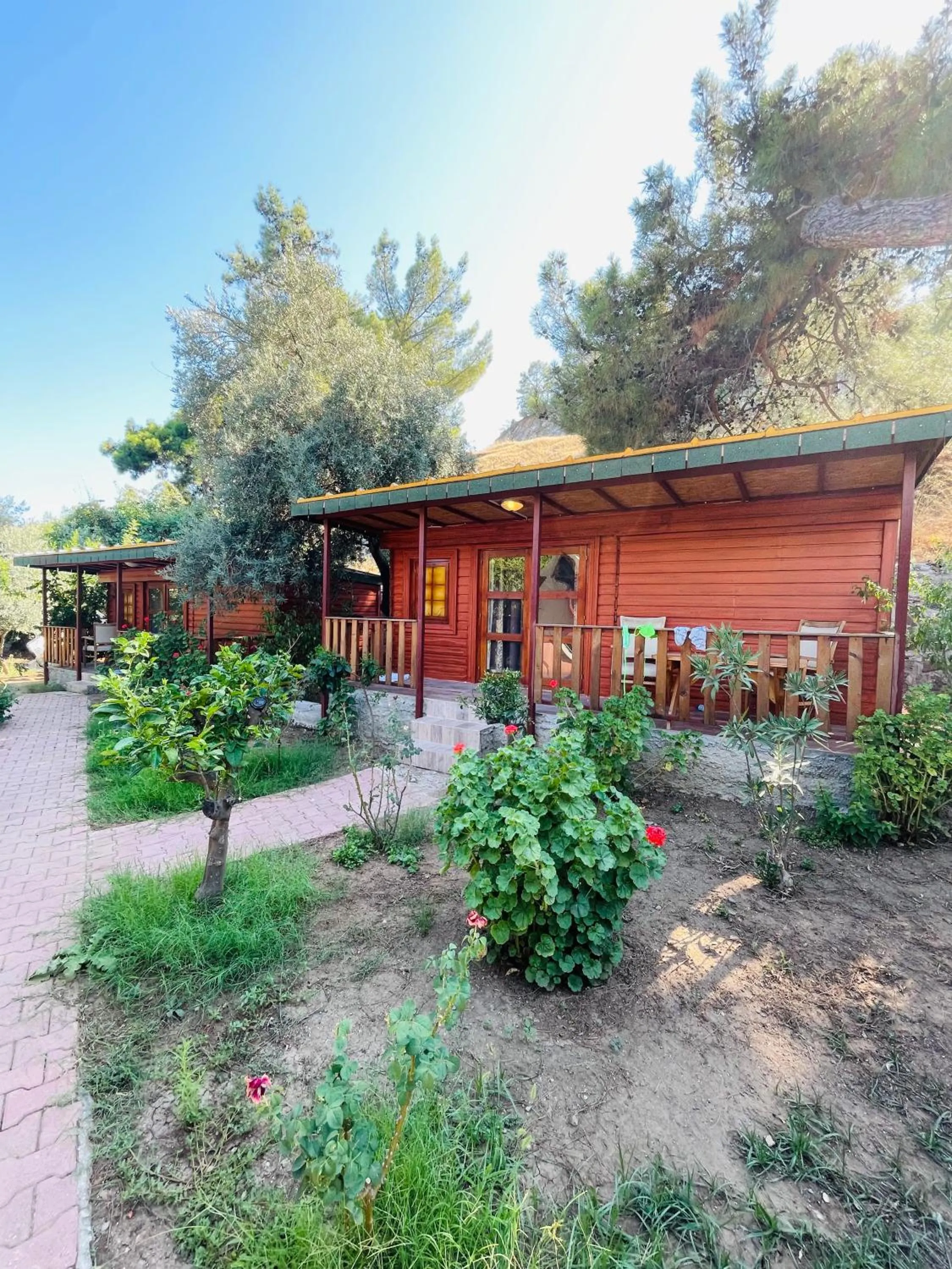 Garden view in Felicity Hotel & Bungalows