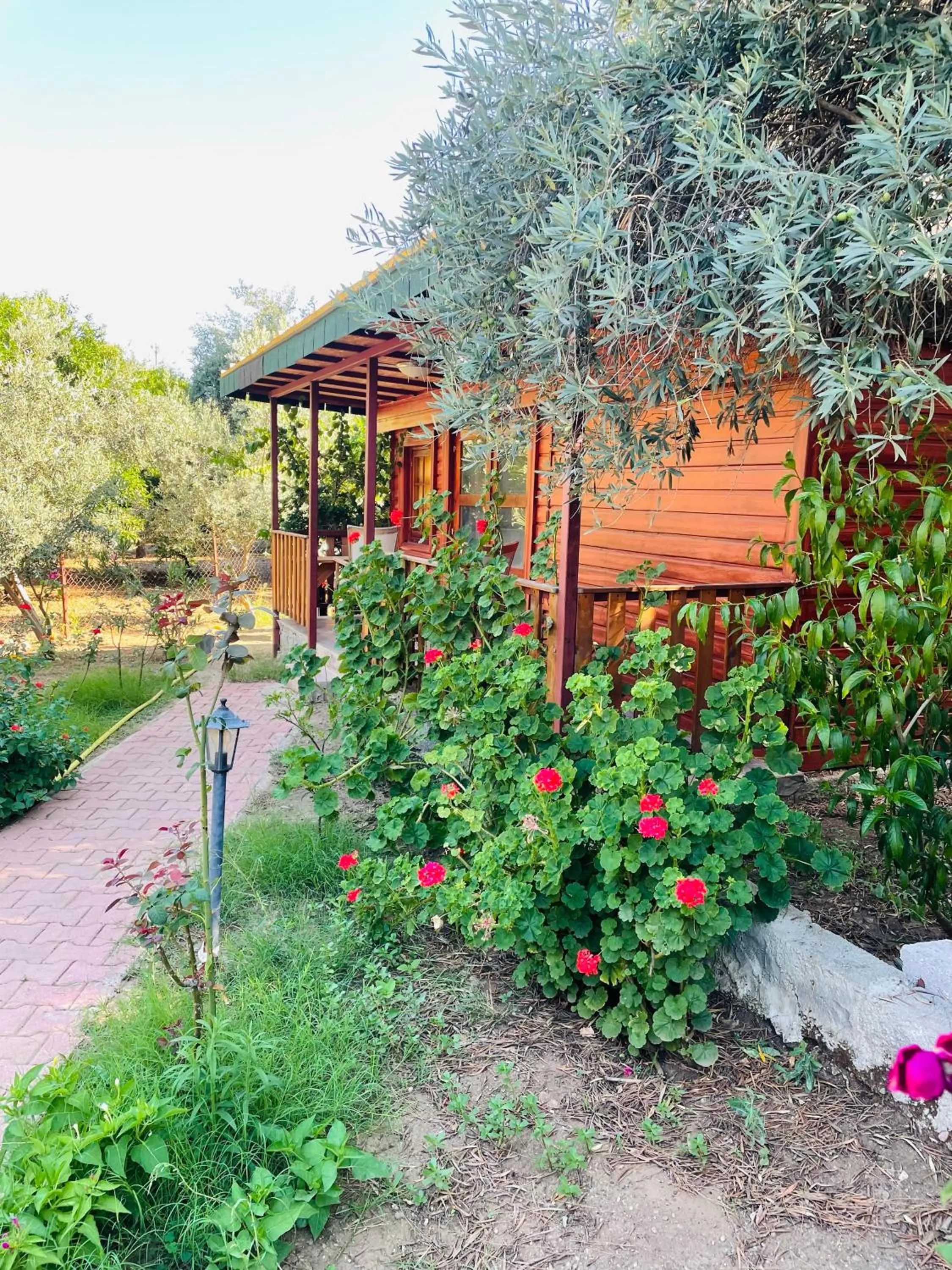 Garden view in Felicity Hotel & Bungalows