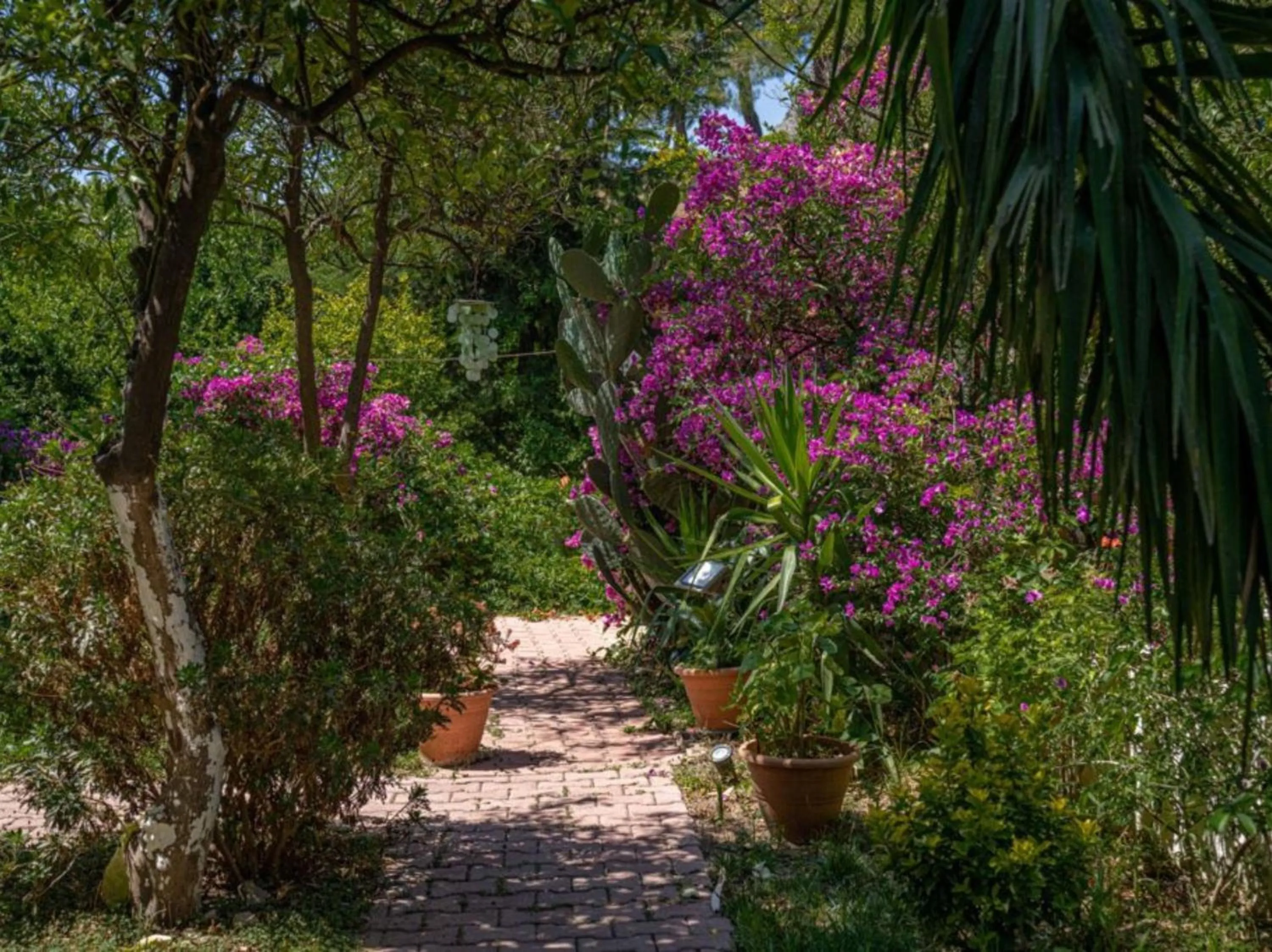 Spring in Felicity Hotel & Bungalows