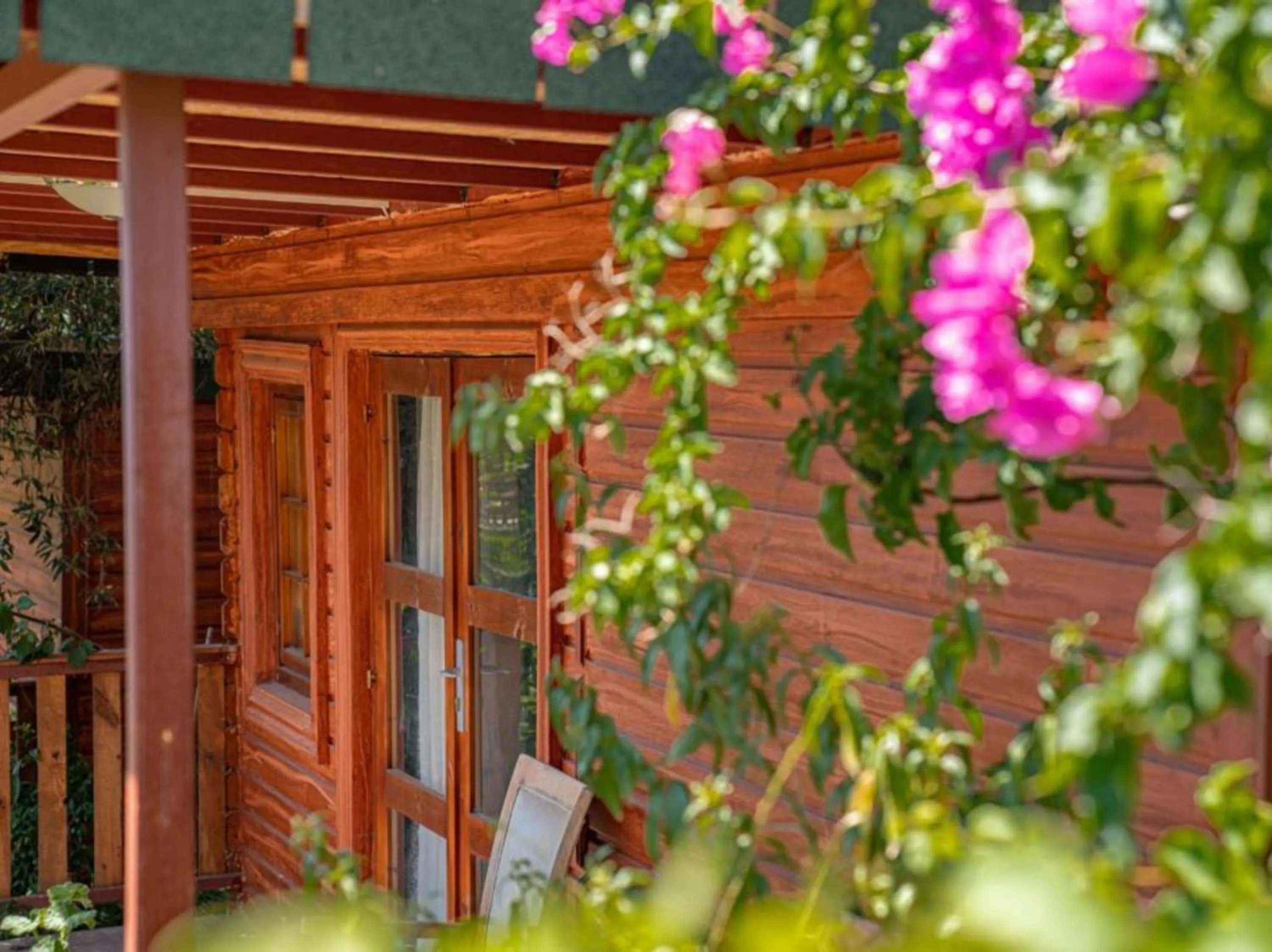 Spring in Felicity Hotel & Bungalows