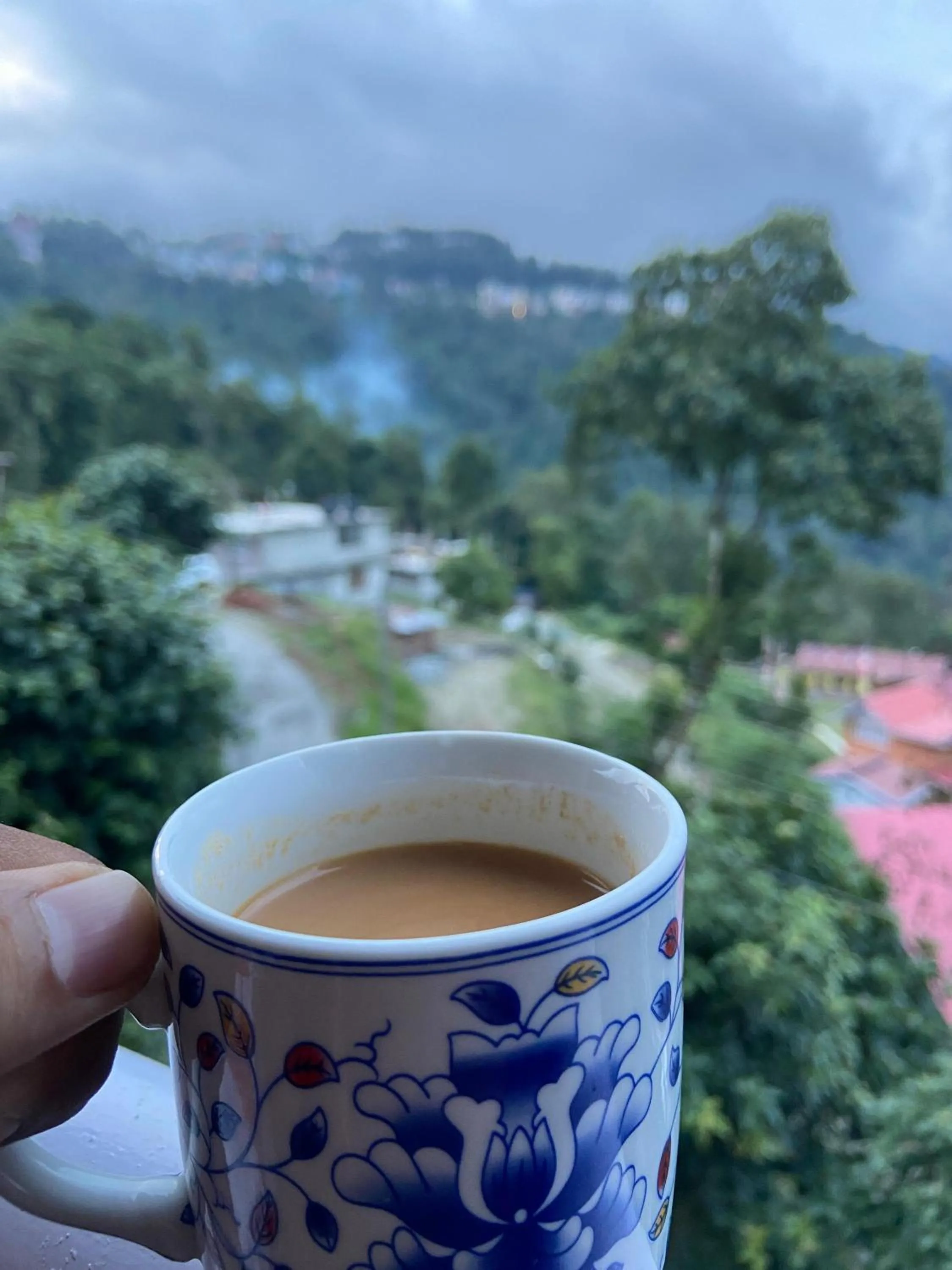 View (from property/room) in Mandavya homestay