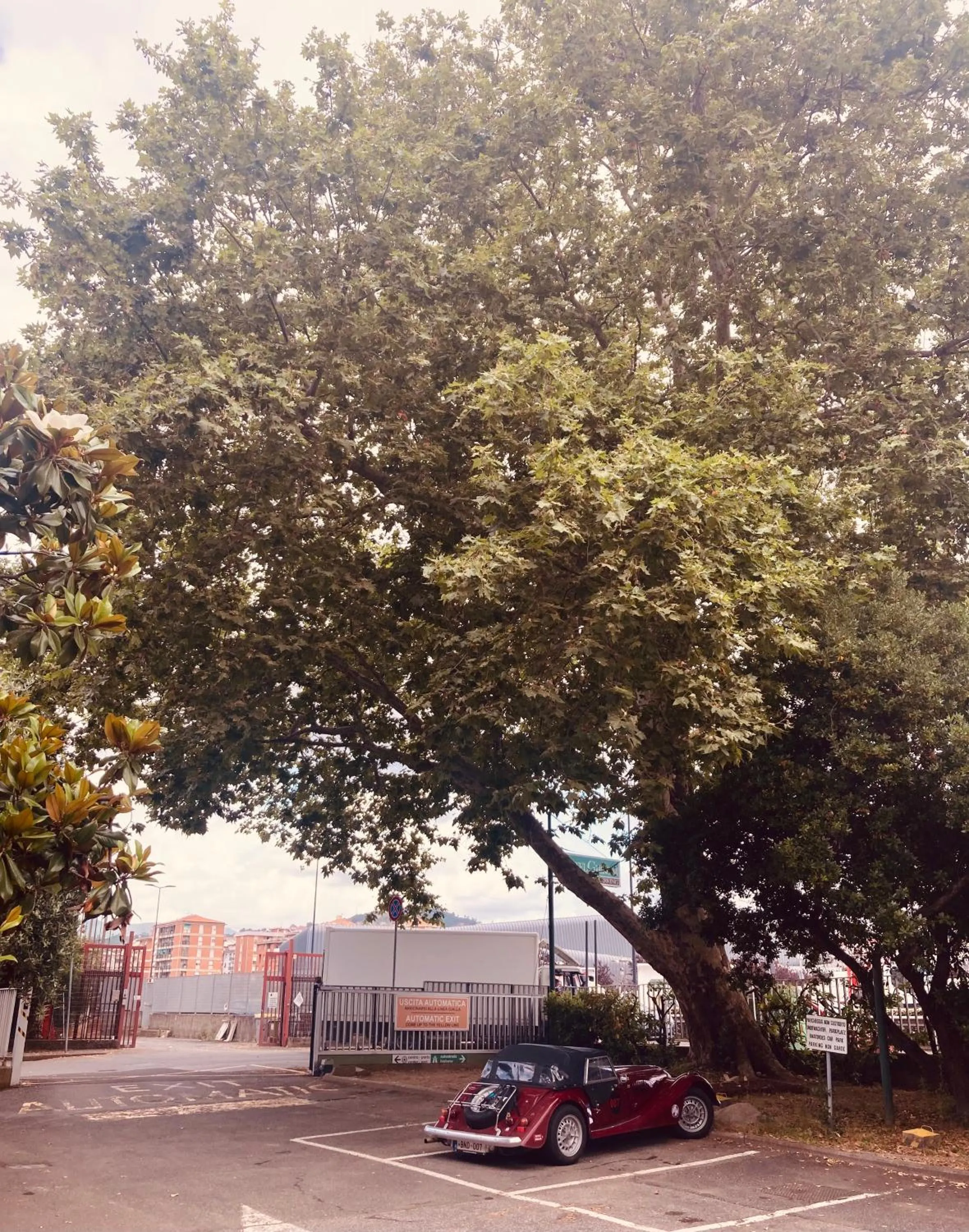 Parking in Hotel Ghironi