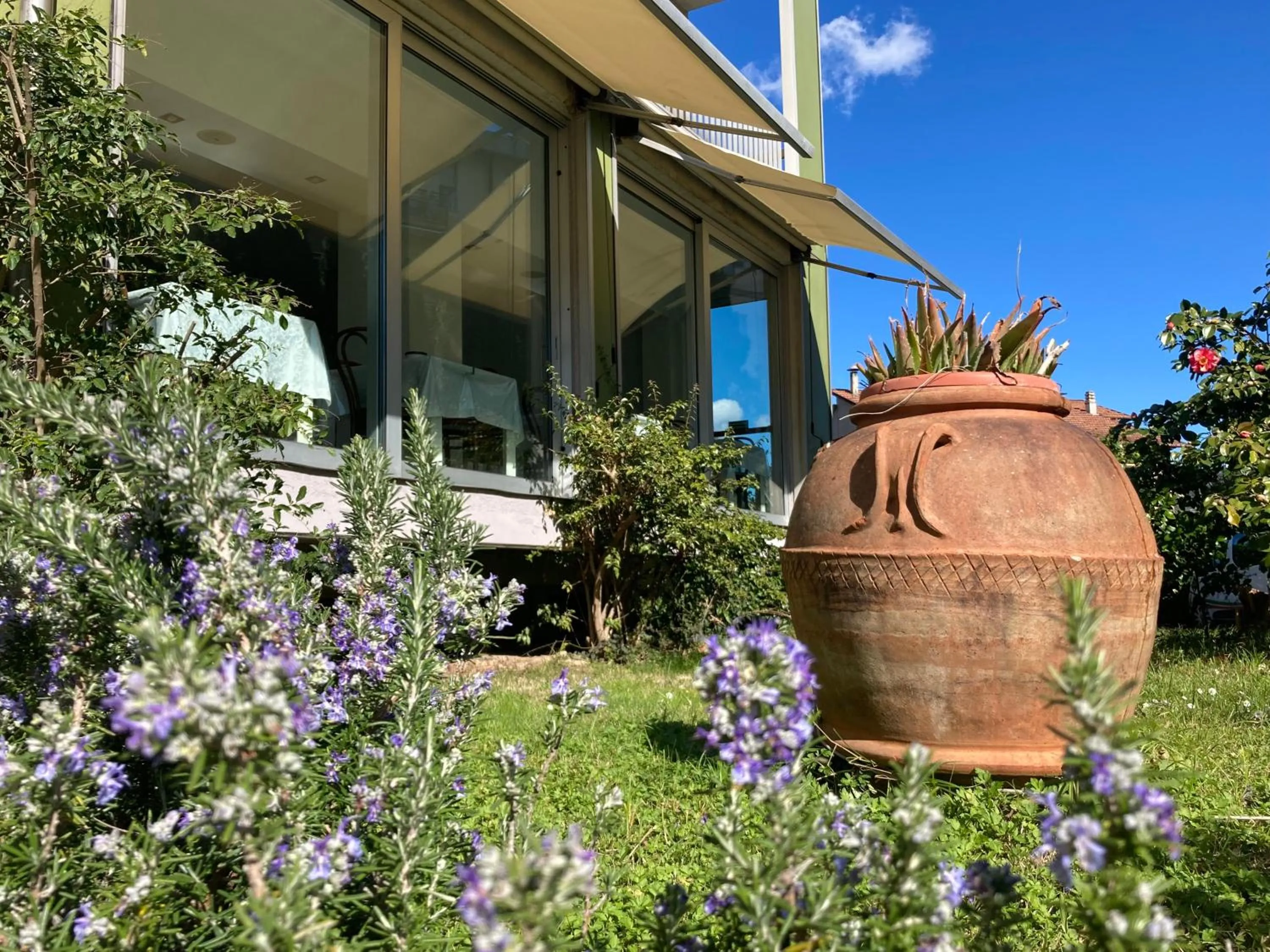 Garden in Hotel Ghironi