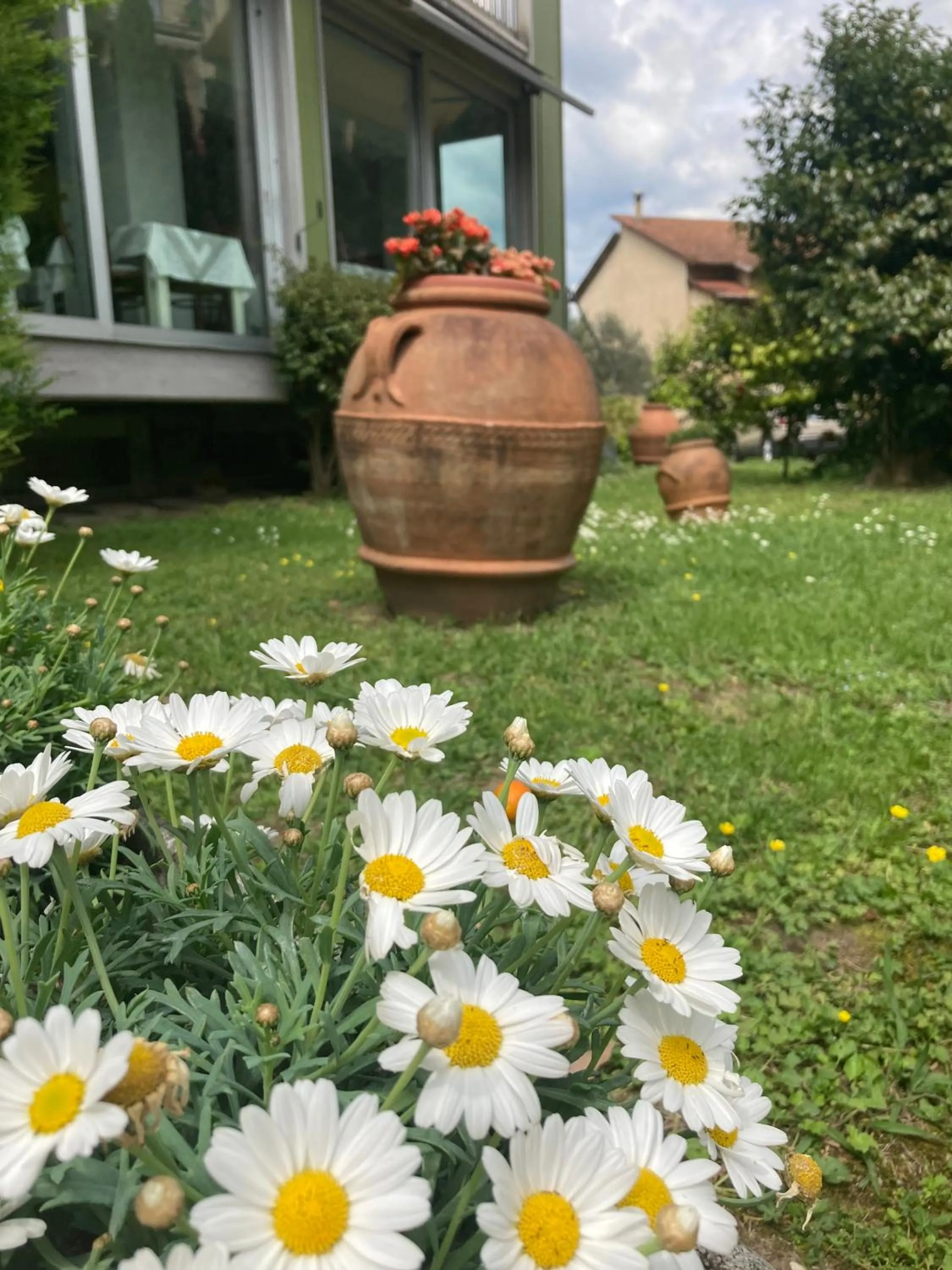 Garden in Hotel Ghironi