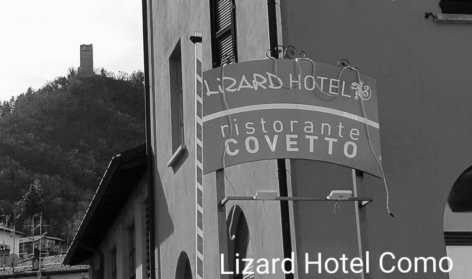Lizard Hotel