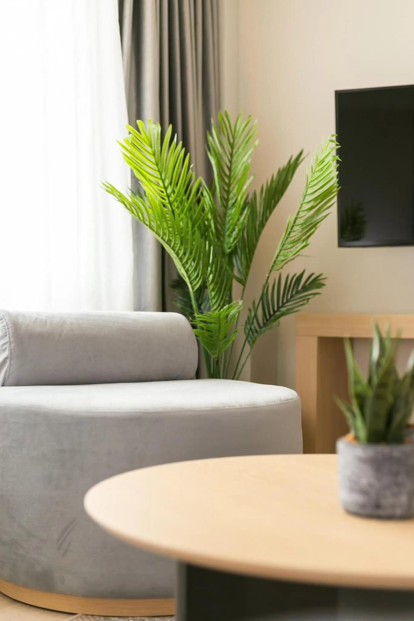 TV and multimedia in Sea & the City