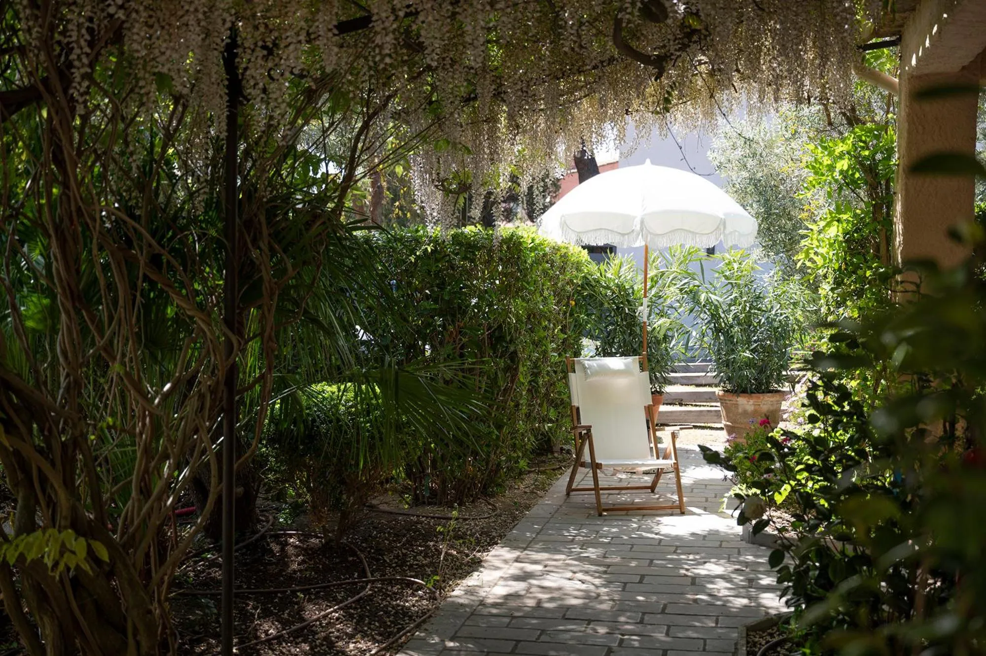 Garden in Lou Cagnard