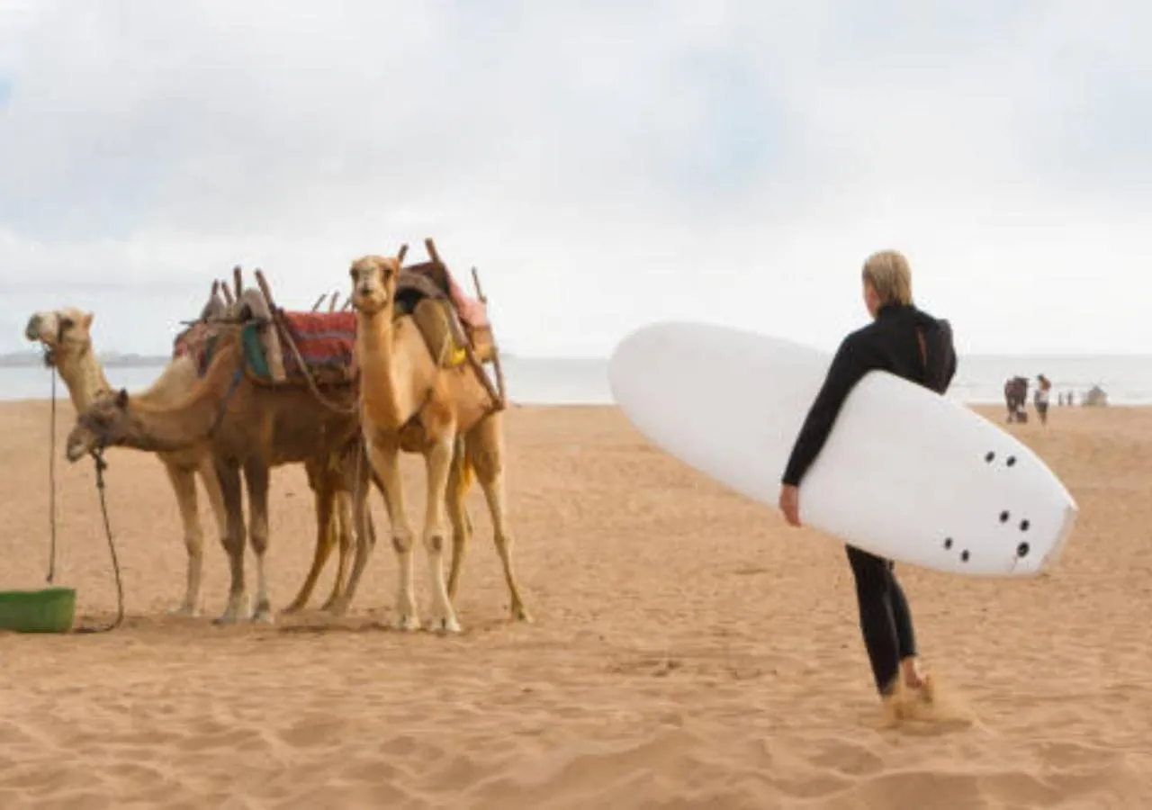 Aqua park in Dar Ayman Essaouira