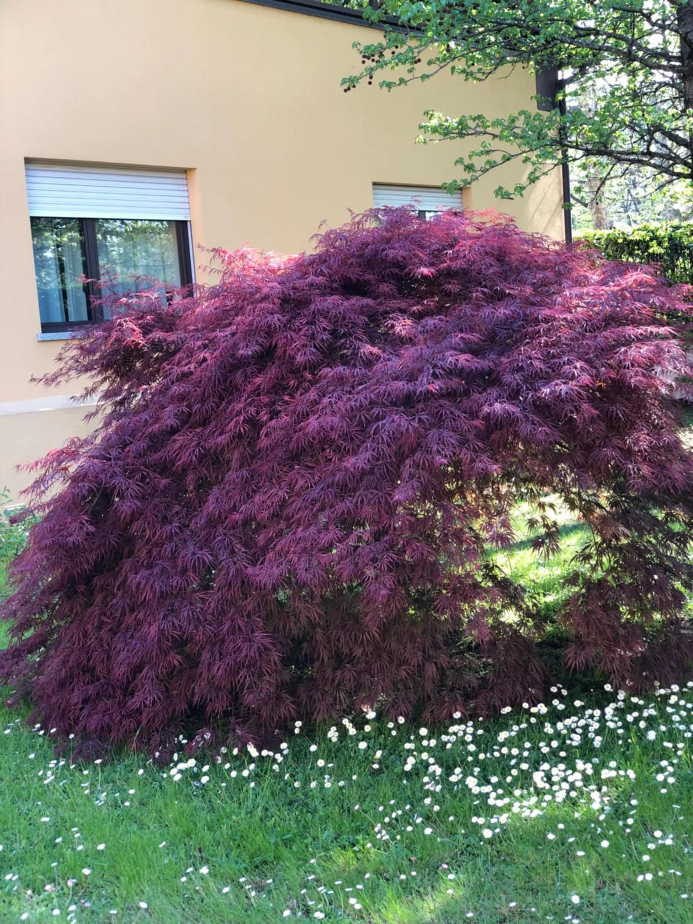 Day in Parco Hotel Sassi