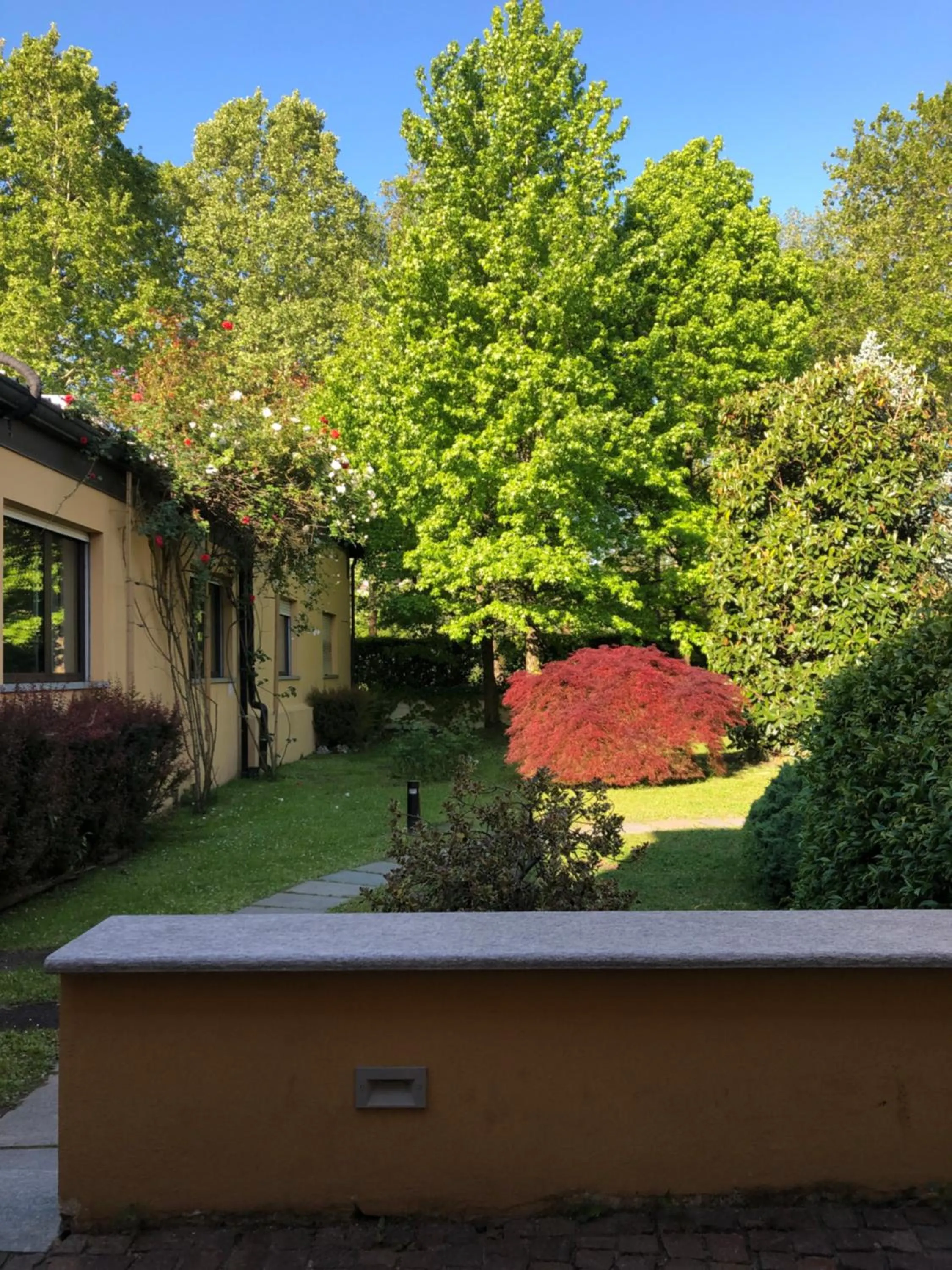 Spring in Parco Hotel Sassi