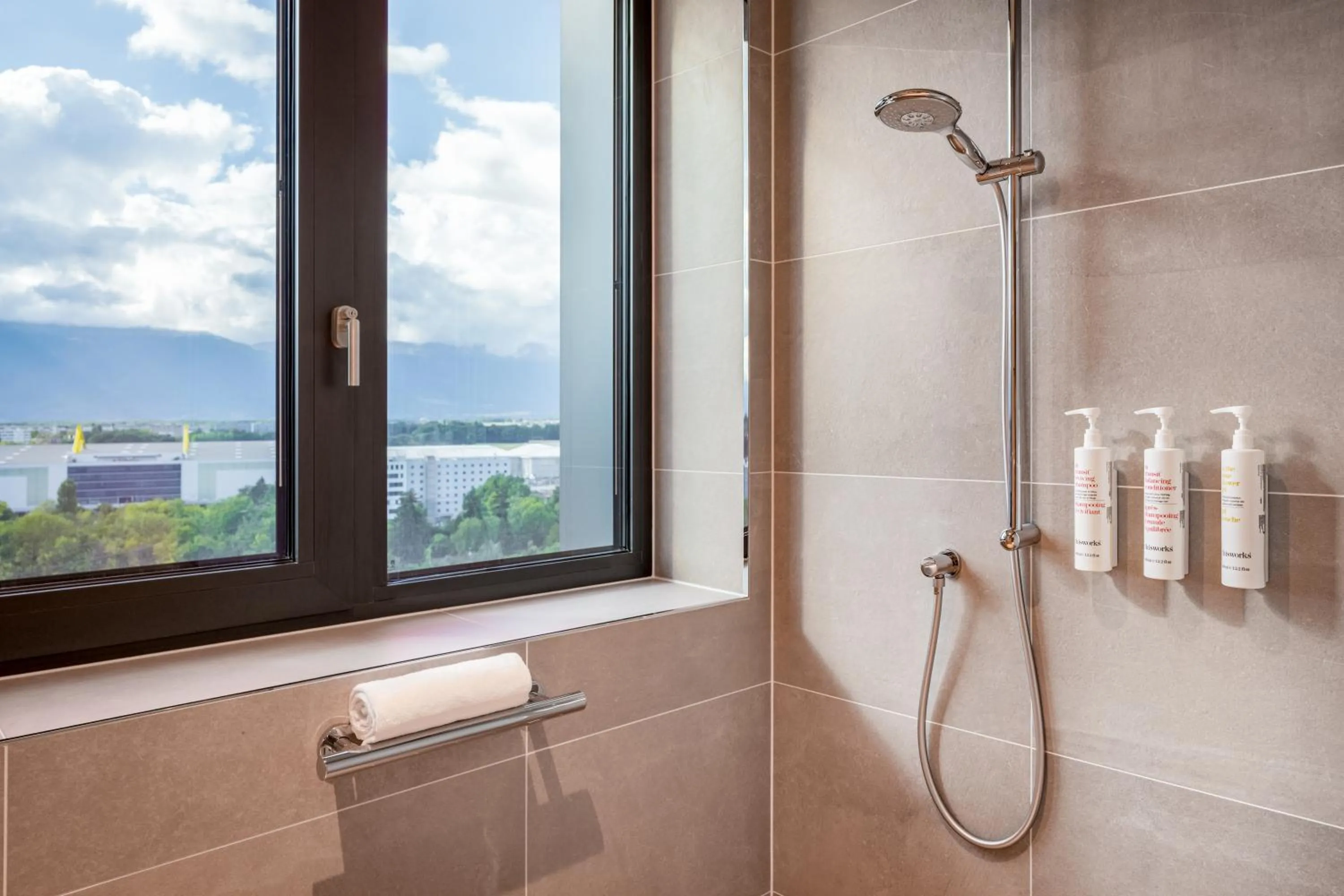 View (from property/room) in Geneva Marriott Hotel