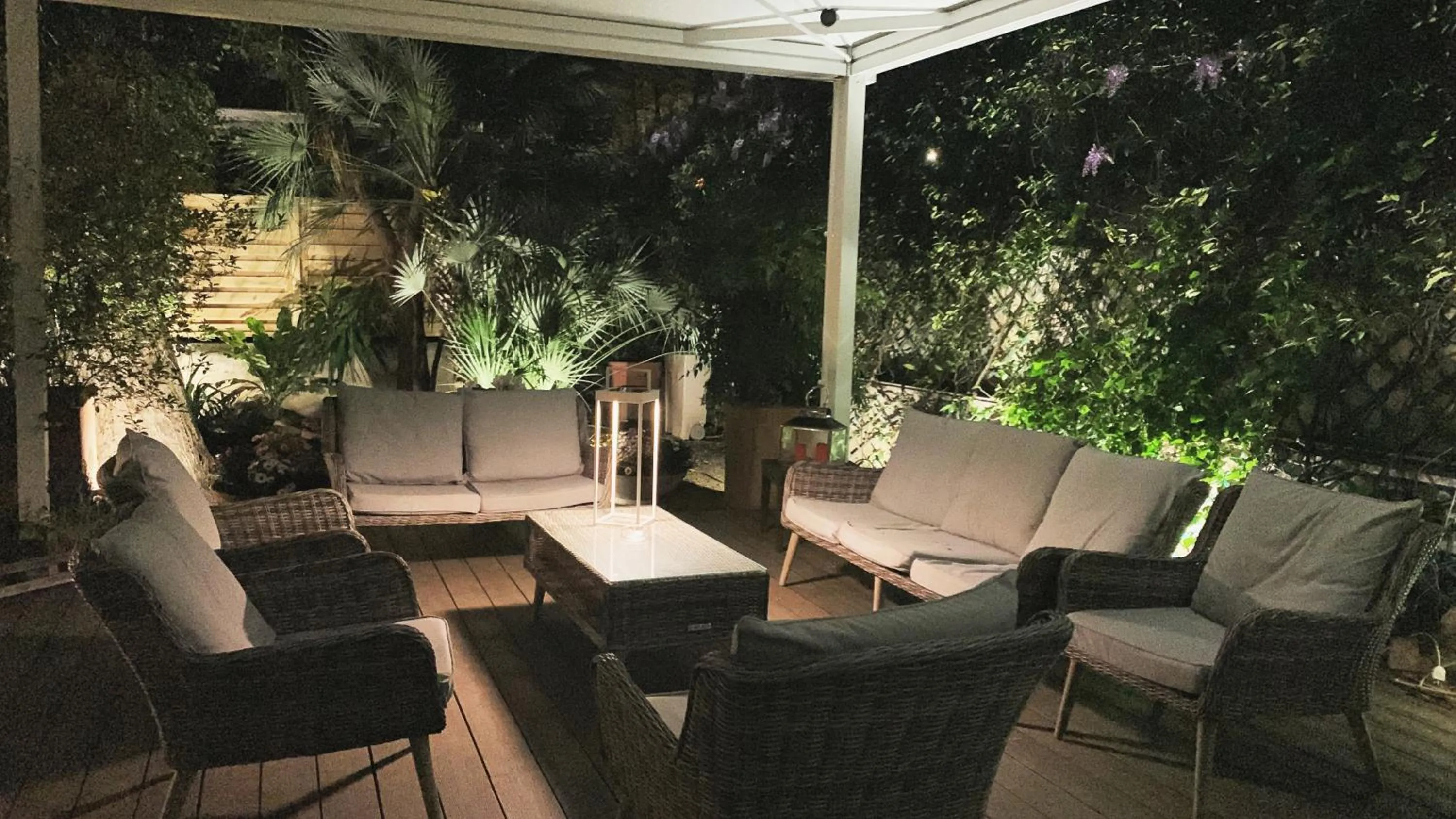 Garden in Hotel Fenix