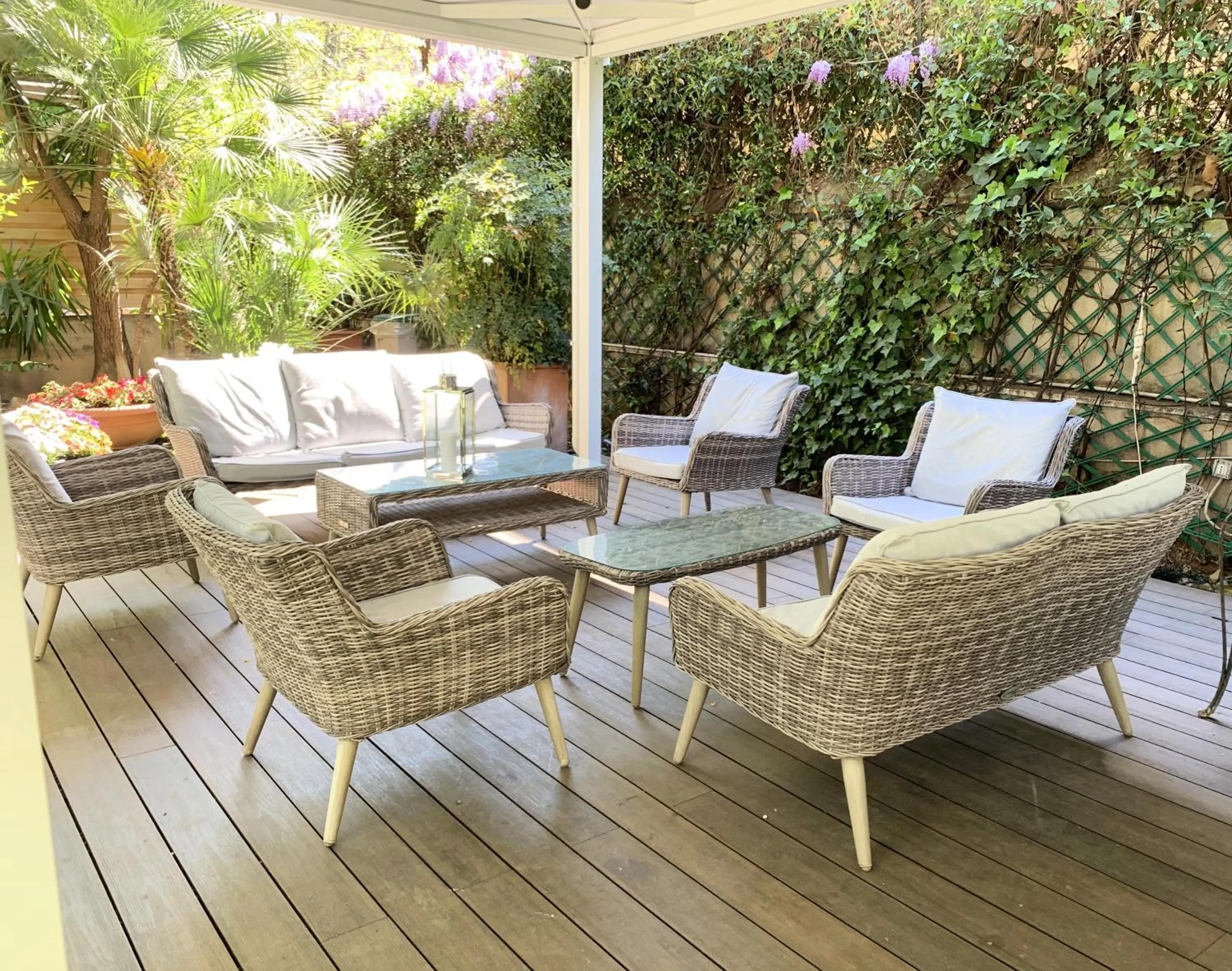 Garden in Hotel Fenix