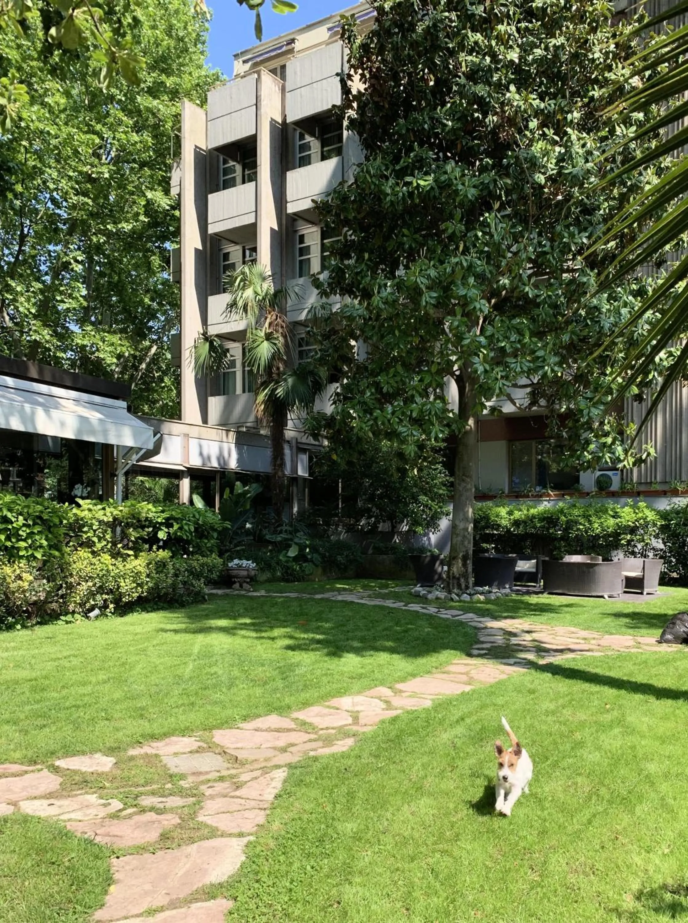 Garden in Hotel Fenix