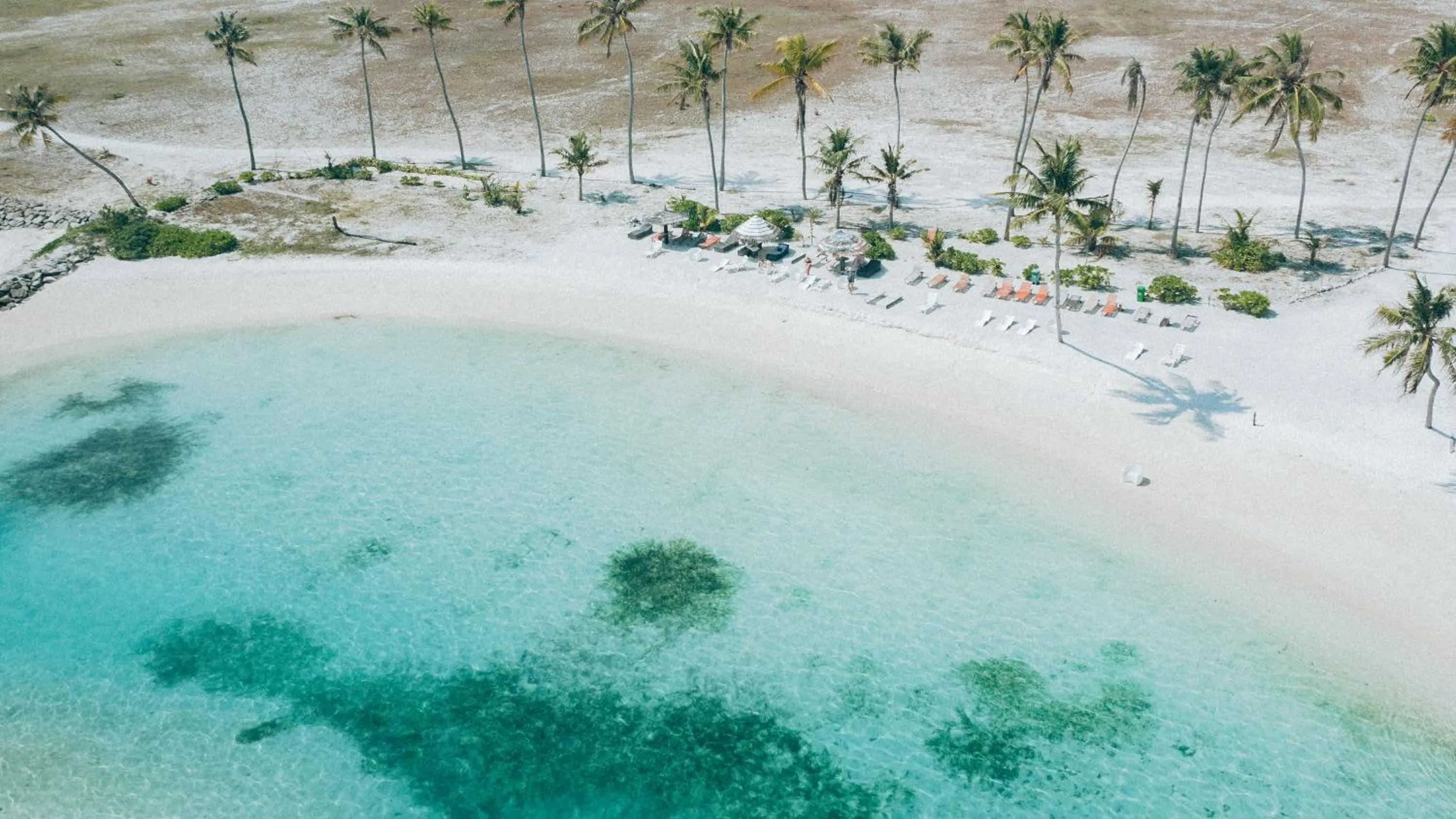 Beach in The Bilimbi Guesthouse & Inn