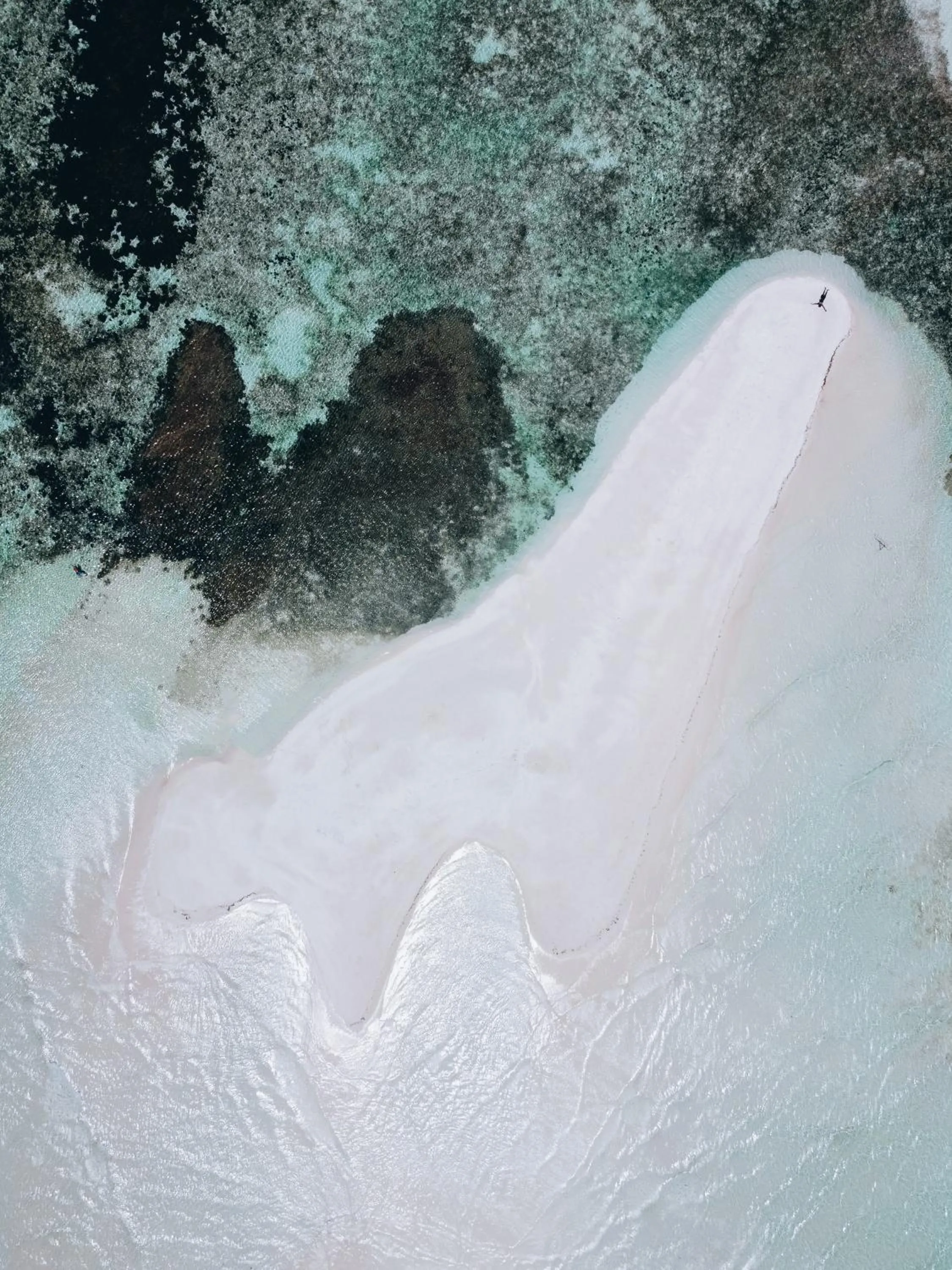 Natural landscape in The Bilimbi Guesthouse & Inn