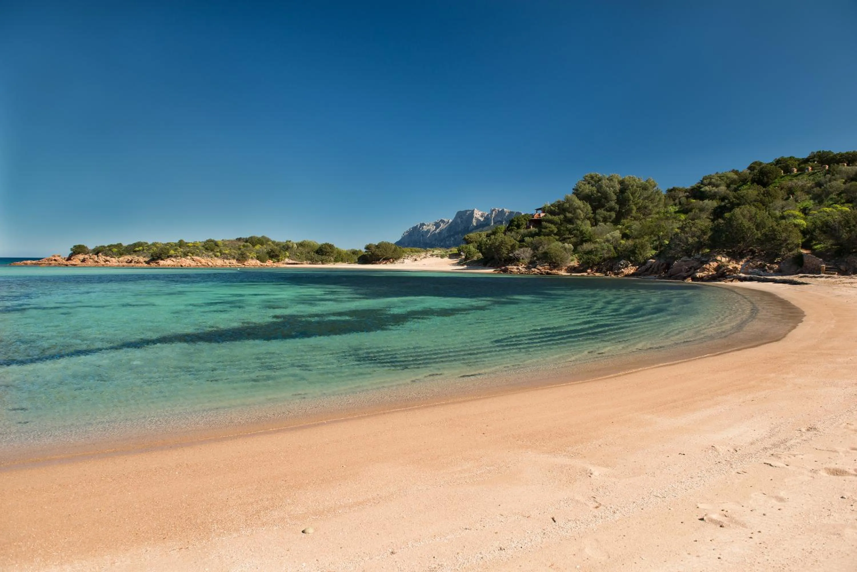 Beach in Hotel Ollastu