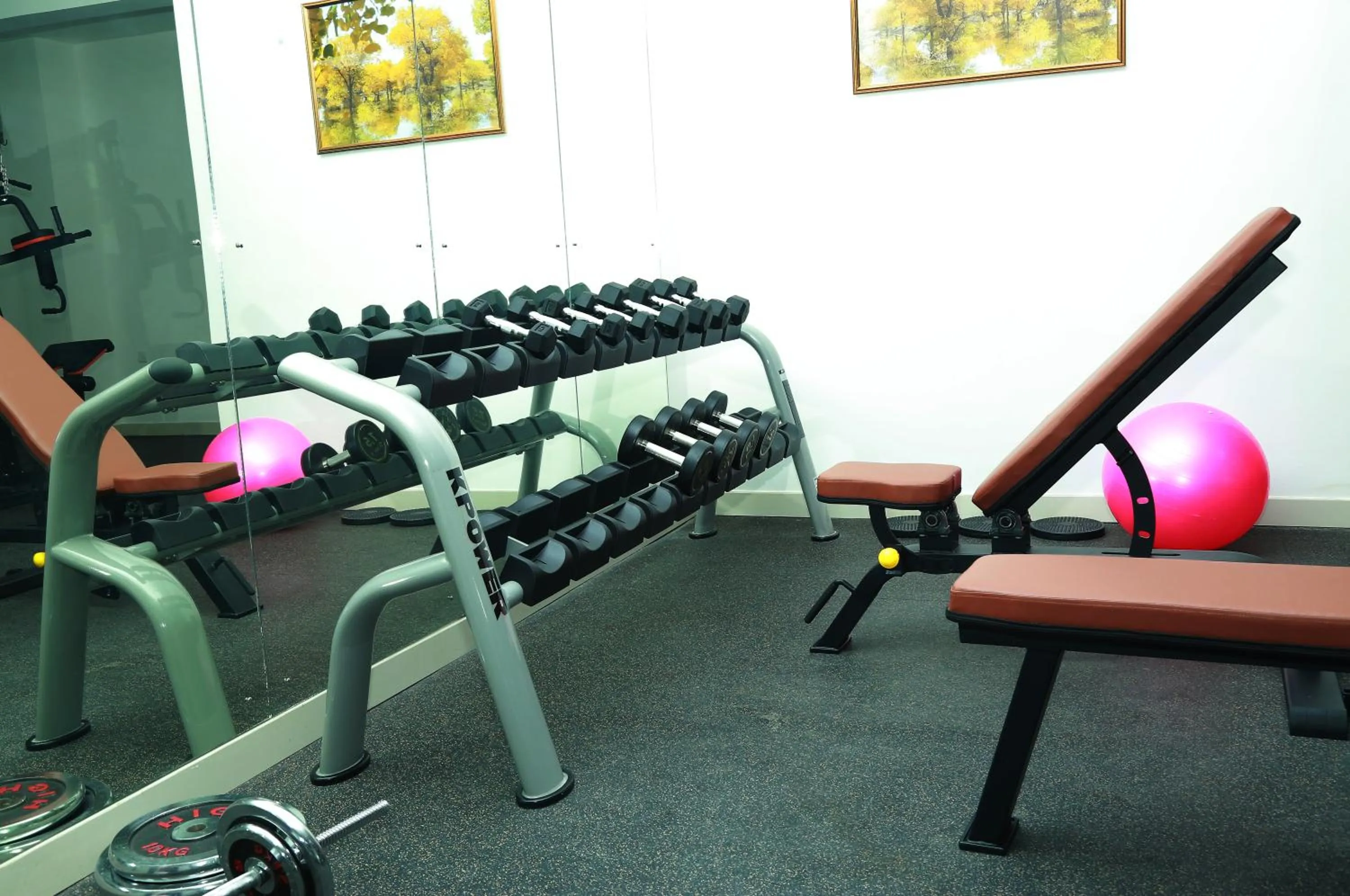 Fitness centre/facilities in ROYAL HOTEL